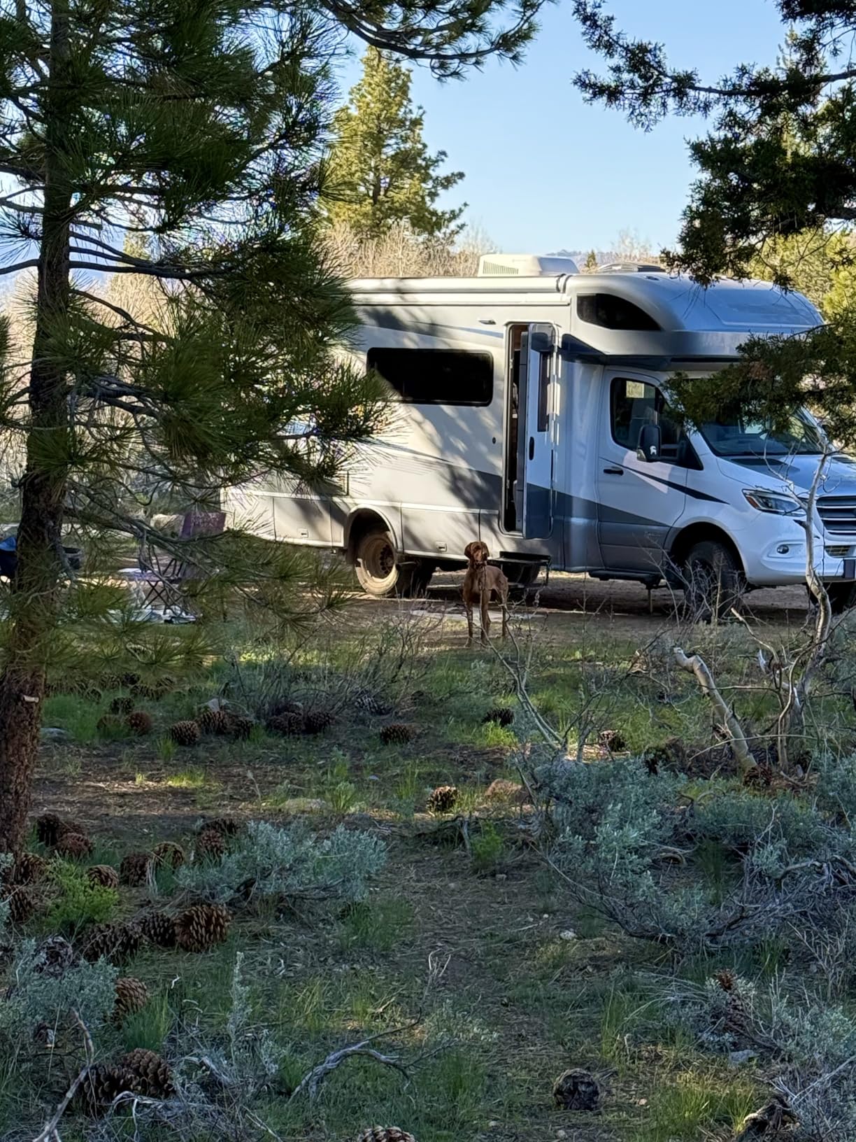 BLUETTI AC200PL Portable Power Station 2304Wh 2400W LiFePO4 Solar Generator, Expandable to 8448Wh w/ 4 AC Outlets (3600W Power Lifting), 30A TT30 Output, Battery Backup for RV, Camping, Home Use customer photo 2
