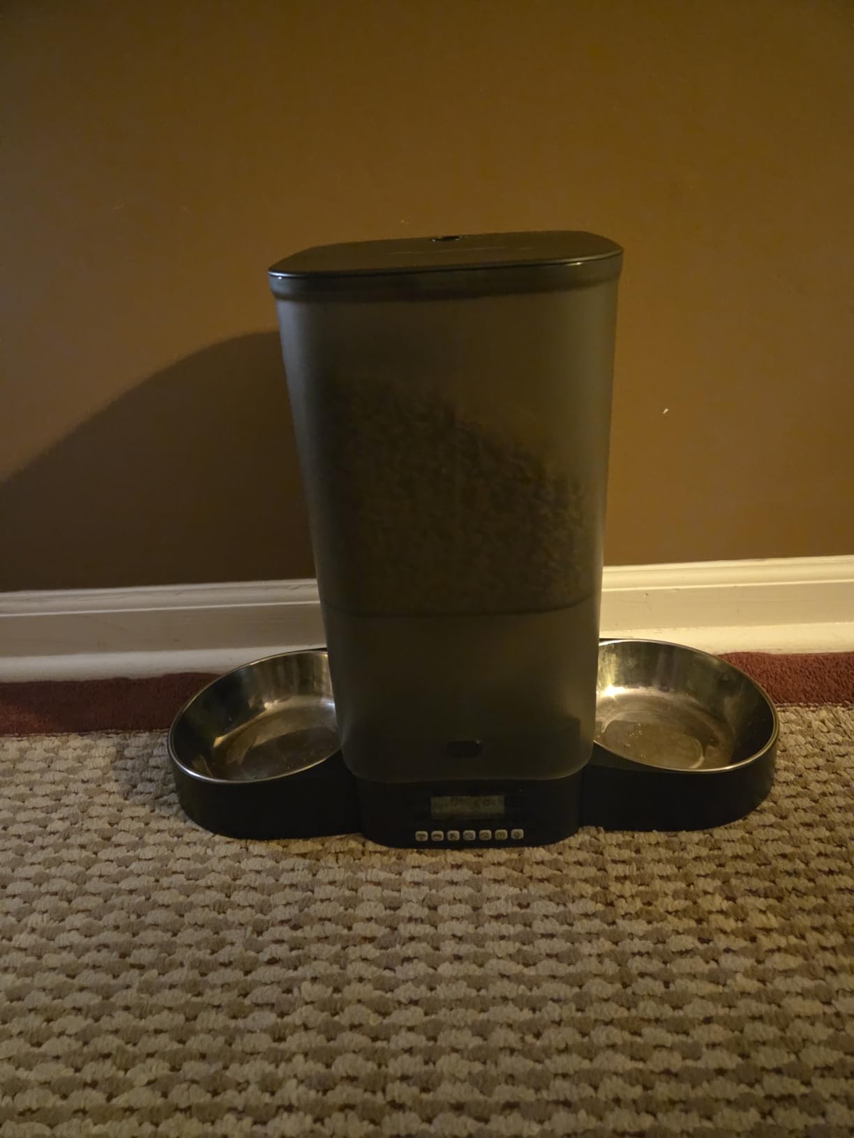 HoneyGuaridan Automatic Cat Feeder for 2 Cats,Cat Food Dispenser customer photo 1