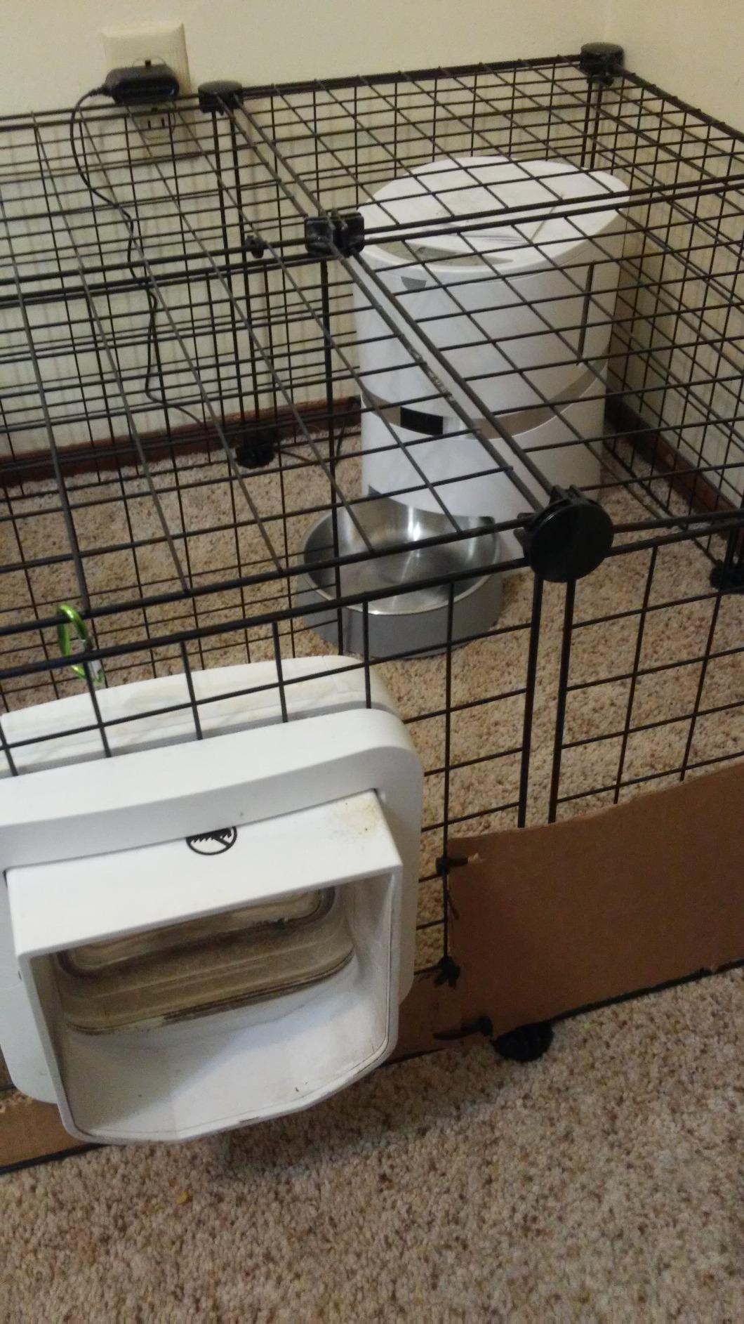 HoneyGuaridan Automatic Cat Feeder for 2 Cats,Cat Food Dispenser customer photo 2