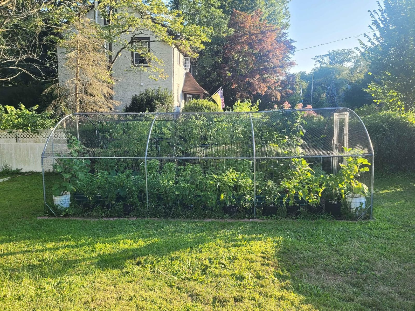 Large Metal Chicken Coop Round Top Upgrade Tri-Supporting Wire Mesh Chicken Run,Chicken Pen with Water-Resident and Anti-UV Cover,Duck Rabbit House Outdoor (25'L x 9'W x 6.5'H) customer photo 2