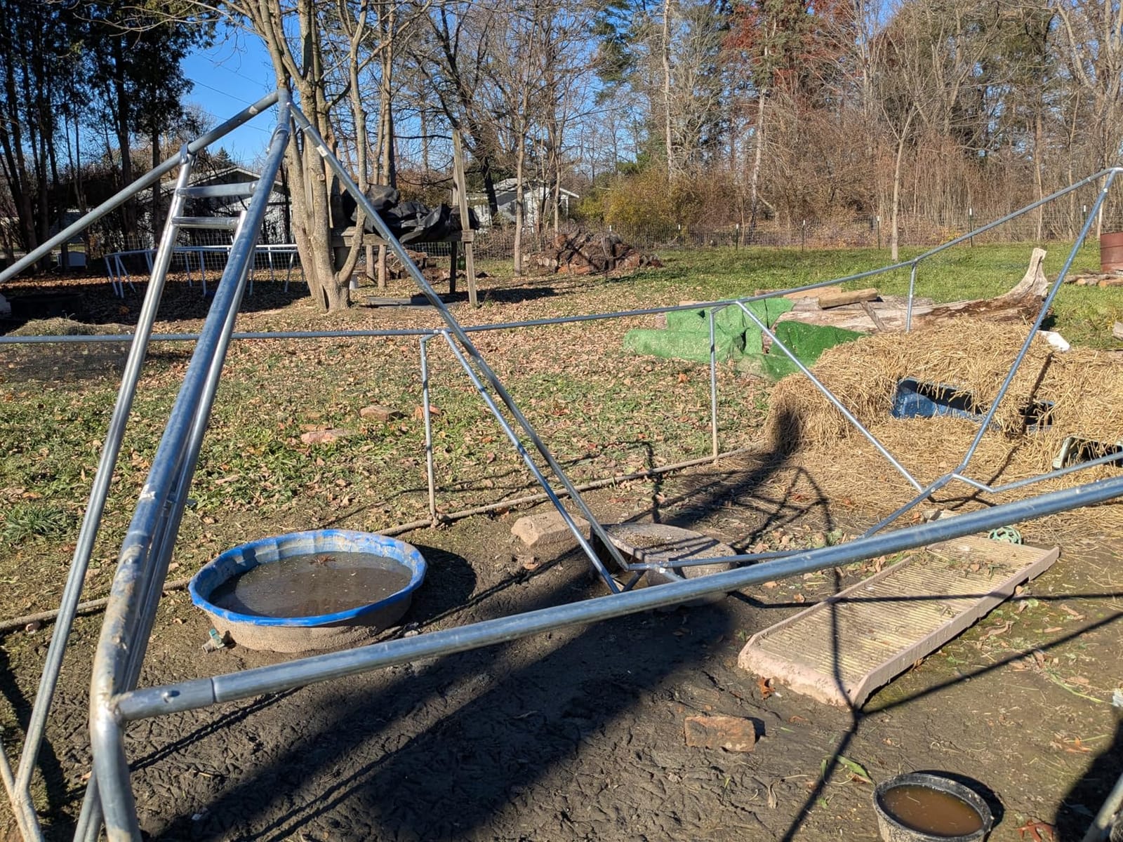 Large Metal Chicken Coop, Chicken Runs for Yard with Cover Walk-in Poultry Cage for 10 20 Chickens, Chicken Pen Duck Coop with Water-Resident Top and Feeding Door, Spire Hen House 12.8Lx9.84Wx6.6H FT customer photo 1