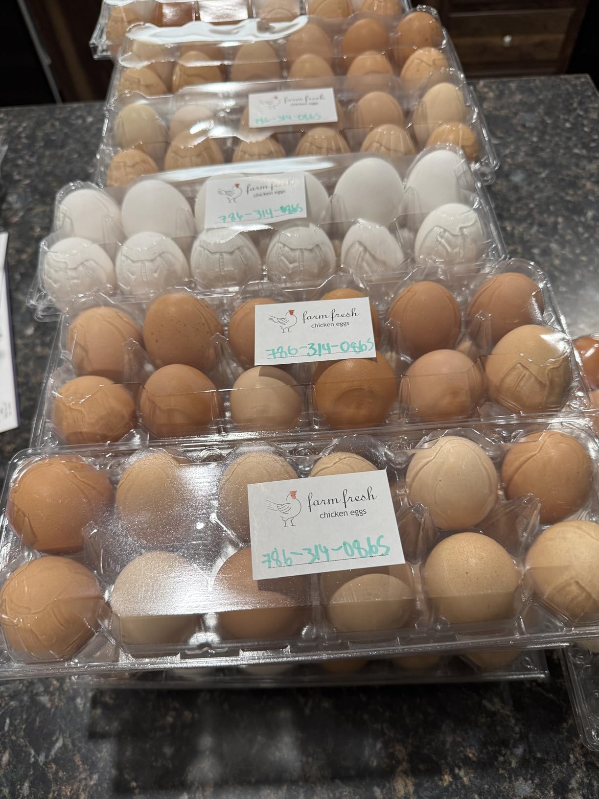 Egg Cartons Cheap Bulk 100 Pack, 1 Dozen Plastic Egg Carton for Refrigerator, Reusable Egg Container Holder for Storing, Sharing, Selling, Clear Egg Cartons for Home Ranch Farm Market-2x6 Grids customer photo 2