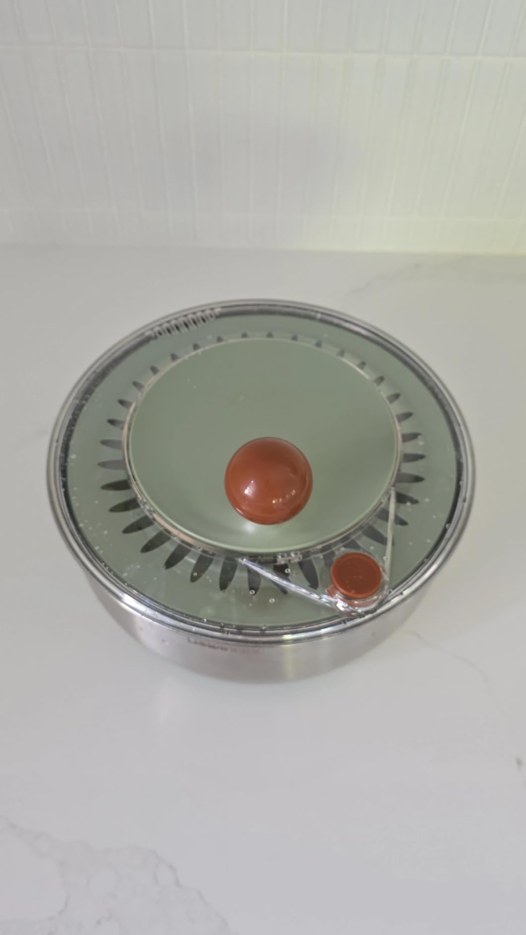 Lunememo Stainless Steel Salad Spinner, BPA Free, Quick Dry & Stop, 5.3 Qt customer photo 1