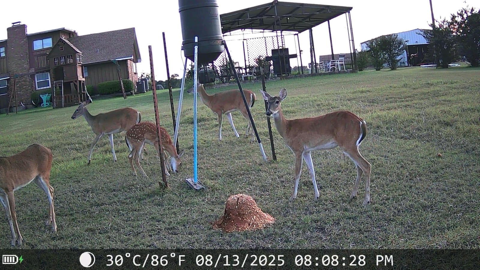 Trail Cameras with Night Vision Motion Activated - WiFi Bluetooth 4K 64MP customer photo 1
