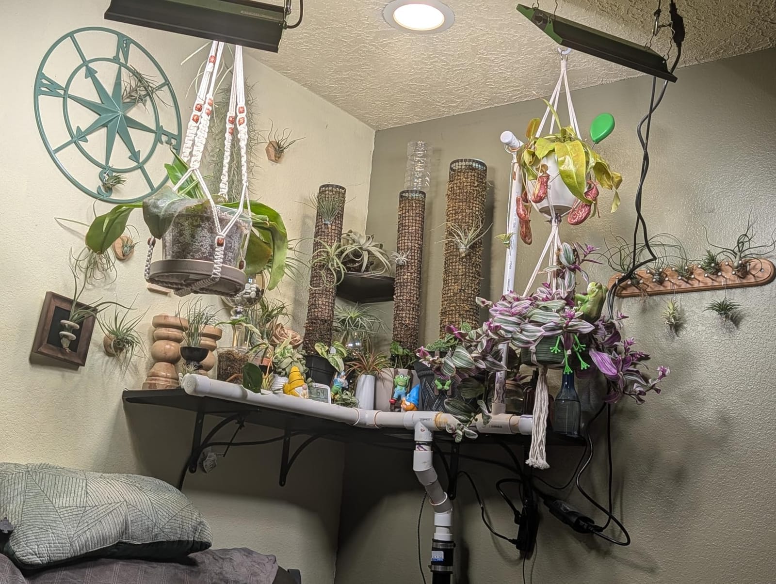 70 Watt Grow Light, Dimmable Plant Light, LED Grow Lights for Indoor Plants customer photo 1