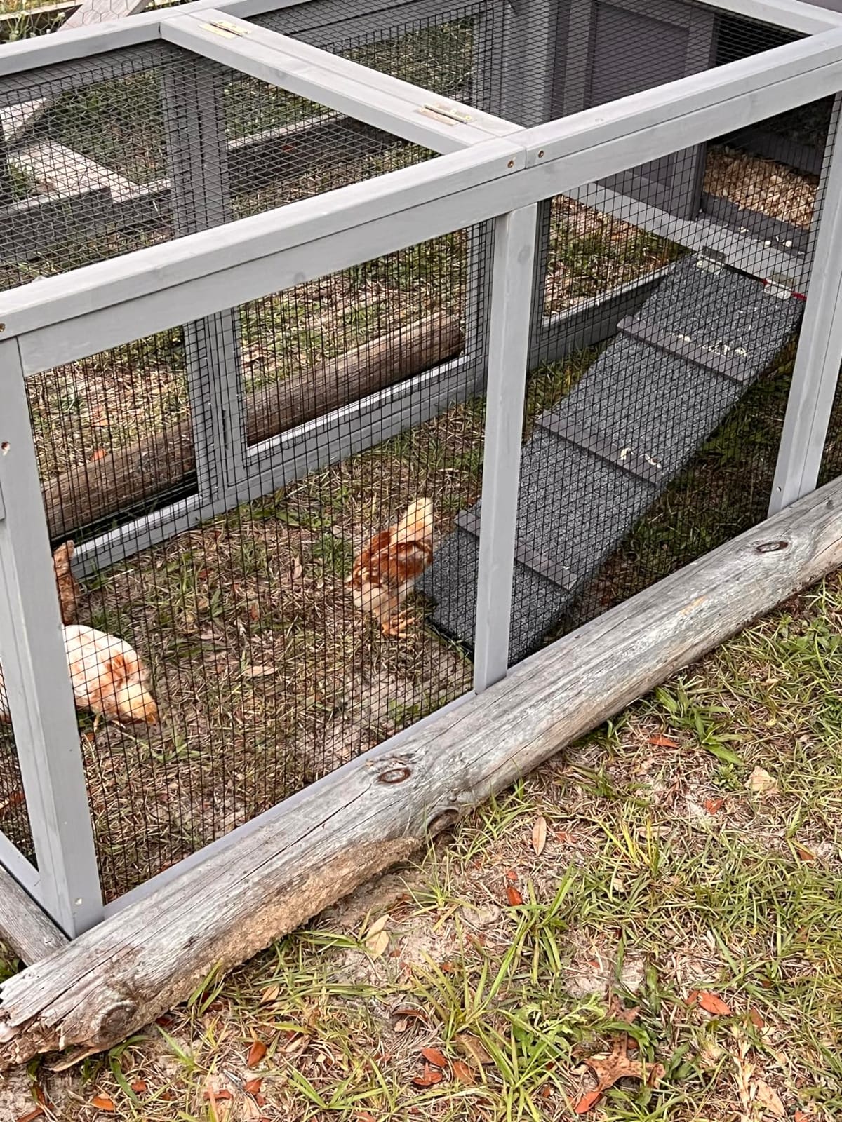 Large Chicken Coop for 8-10 Chickens,75.7