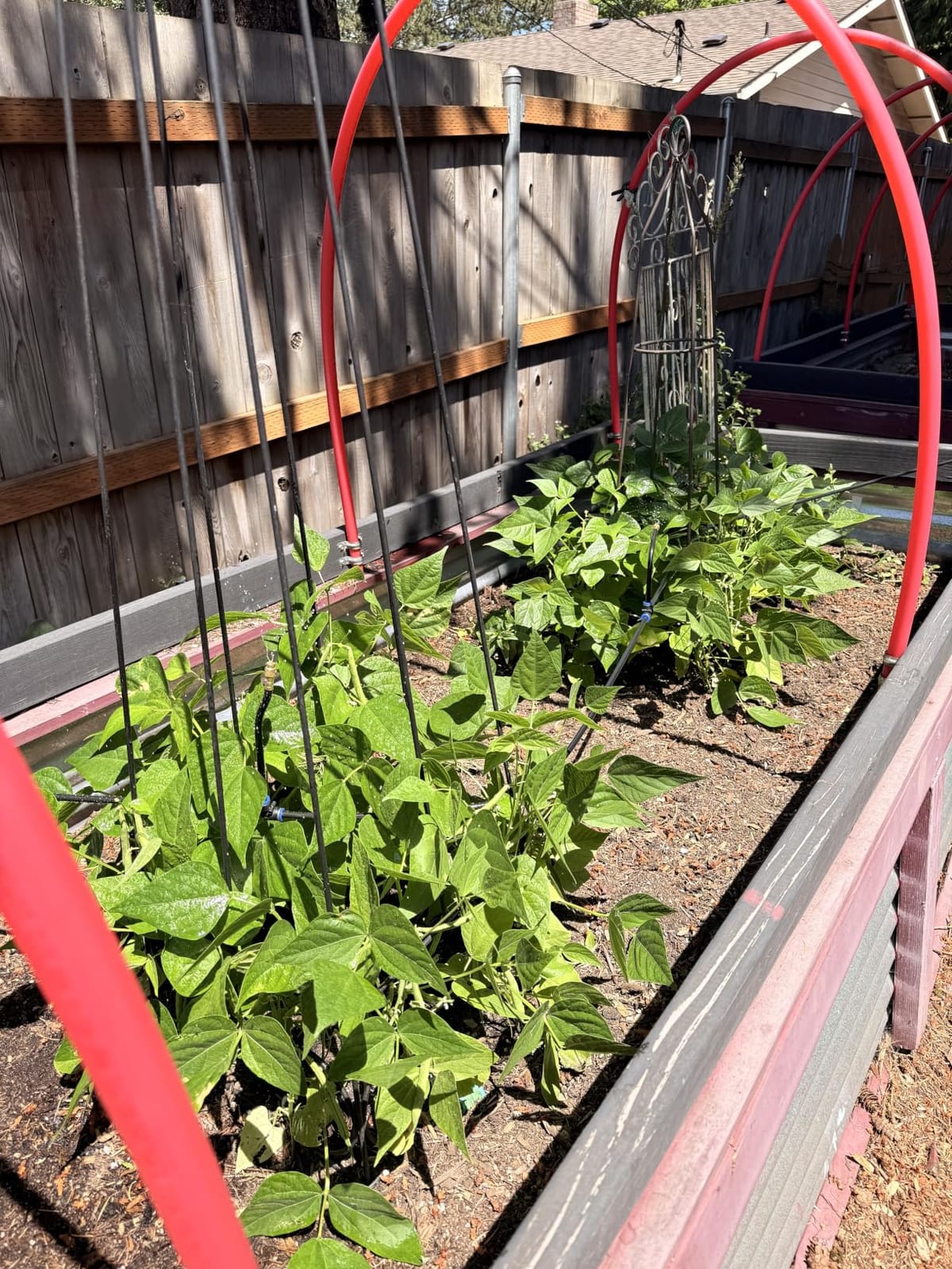Thiswing 360° Adjustable Drip Irrigation System with 16 Nozzles customer photo 1