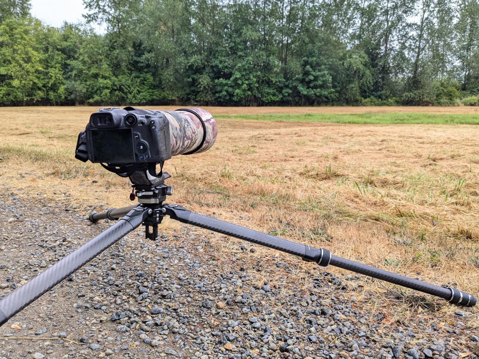 Falcam TreeRoot F38 Pro Quick Lock Carbon Fiber Tripod with 360° Ball Head customer photo 1