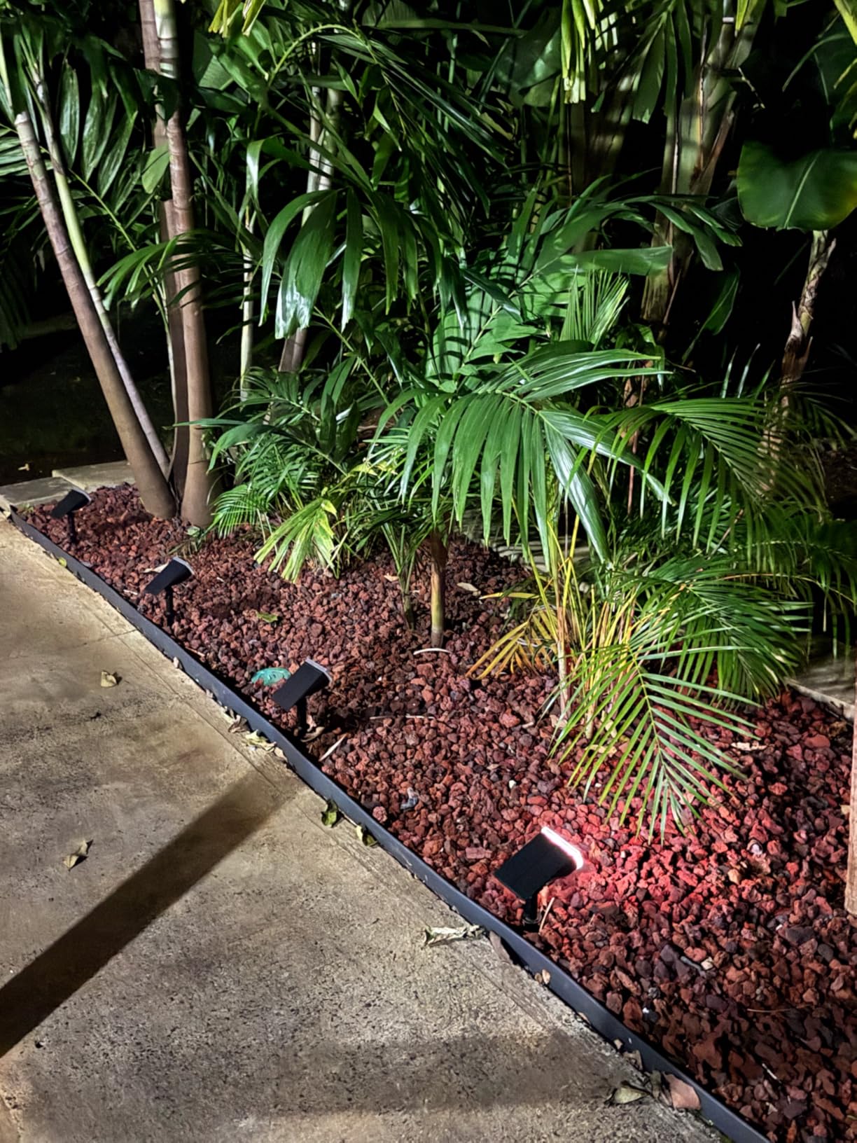 Linkind Smart Solar Spot Lights Outdoor SL5C, IP67 Solar Lights Outdoor customer photo 1