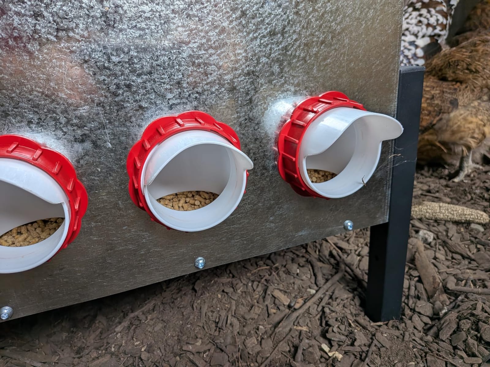 100LB Automatic Chicken Feeder with Cover – Large Capacity Metal Chicken Coop Feeder with 12 Feed Ports, Adjustable Legs Rainproof No Waste Outdoor Poultry Feeder for Hens & Free Range Flocks customer photo 2