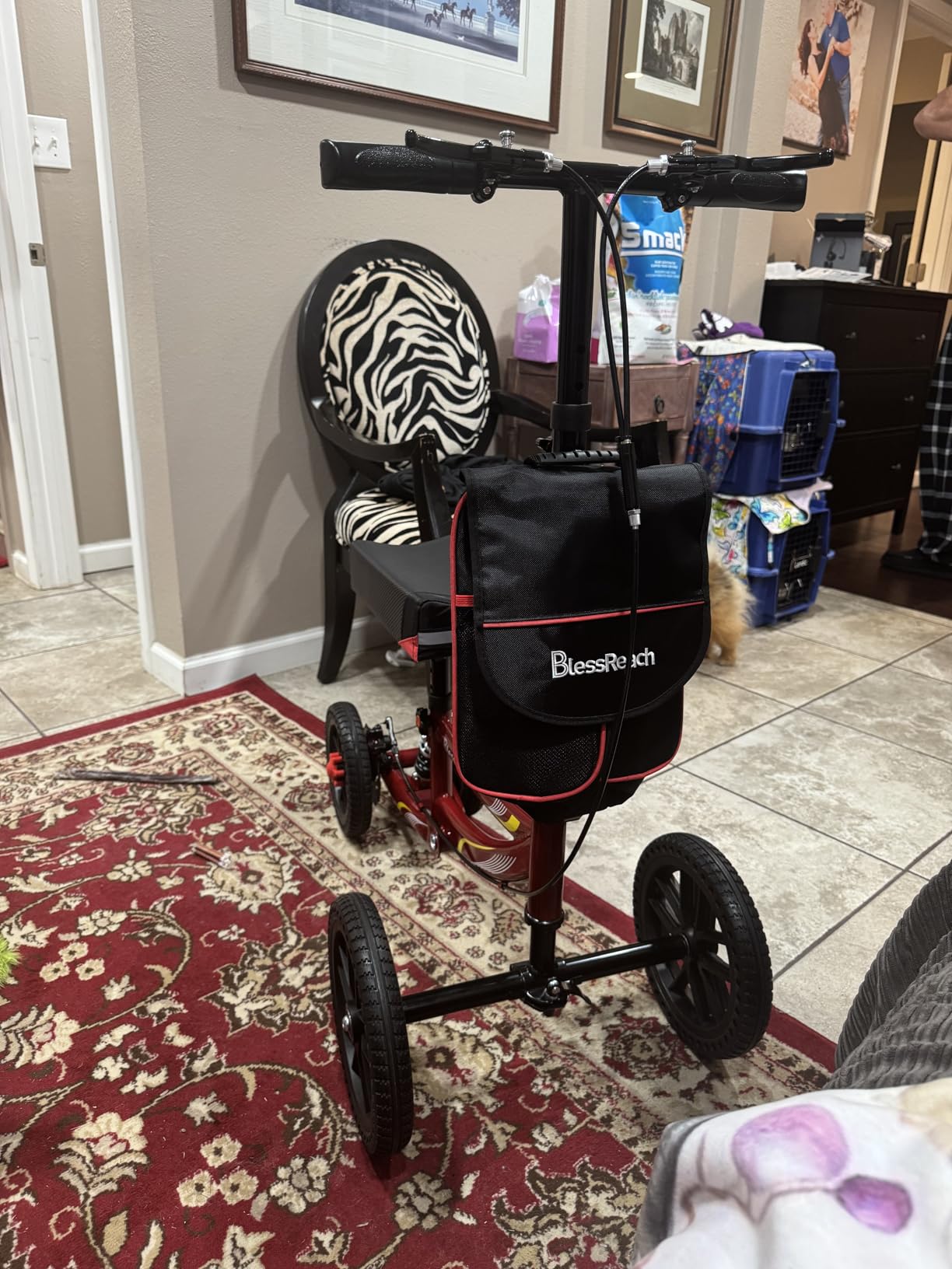 BlessReach All Terrain Knee Scooter for Adults Foot Injuries,11” Big Wheels customer photo 1