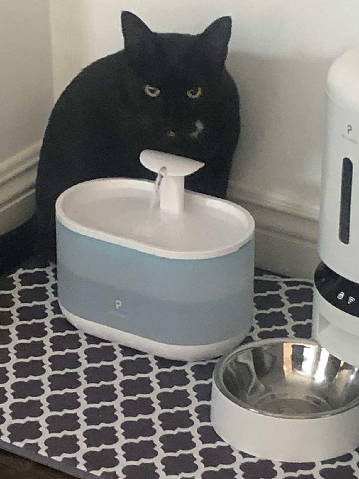 PETLIBRO Upgrade Cat Water Fountain Stainless Steel Tray, Dockstream 2 Cat Fountain Indoor, 3L/101oz Auto Cat Fountains for Drinking, App Monitoring Pet Water Fountain Dog, 5G WiFi Cat Water Dispenser customer photo 2
