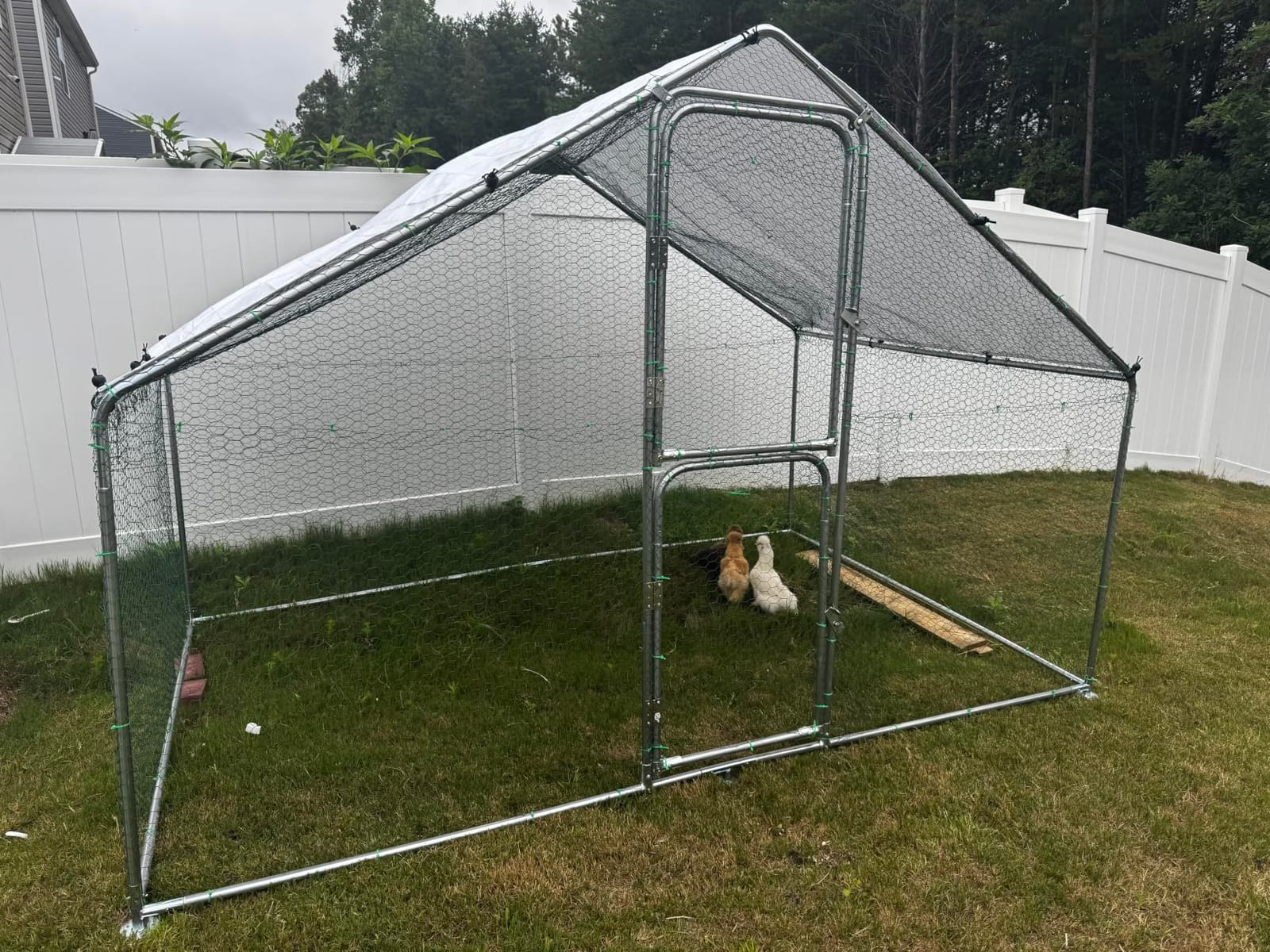 UDPATIO Large Metal Chicken Coop Run House, Walk in Heavy Duty Outdoor Enclosure w/Cover for 30+ Chickens, Ducks, Rabbits - Predator Proof Poultry Pen Habitat Hutch customer photo 1