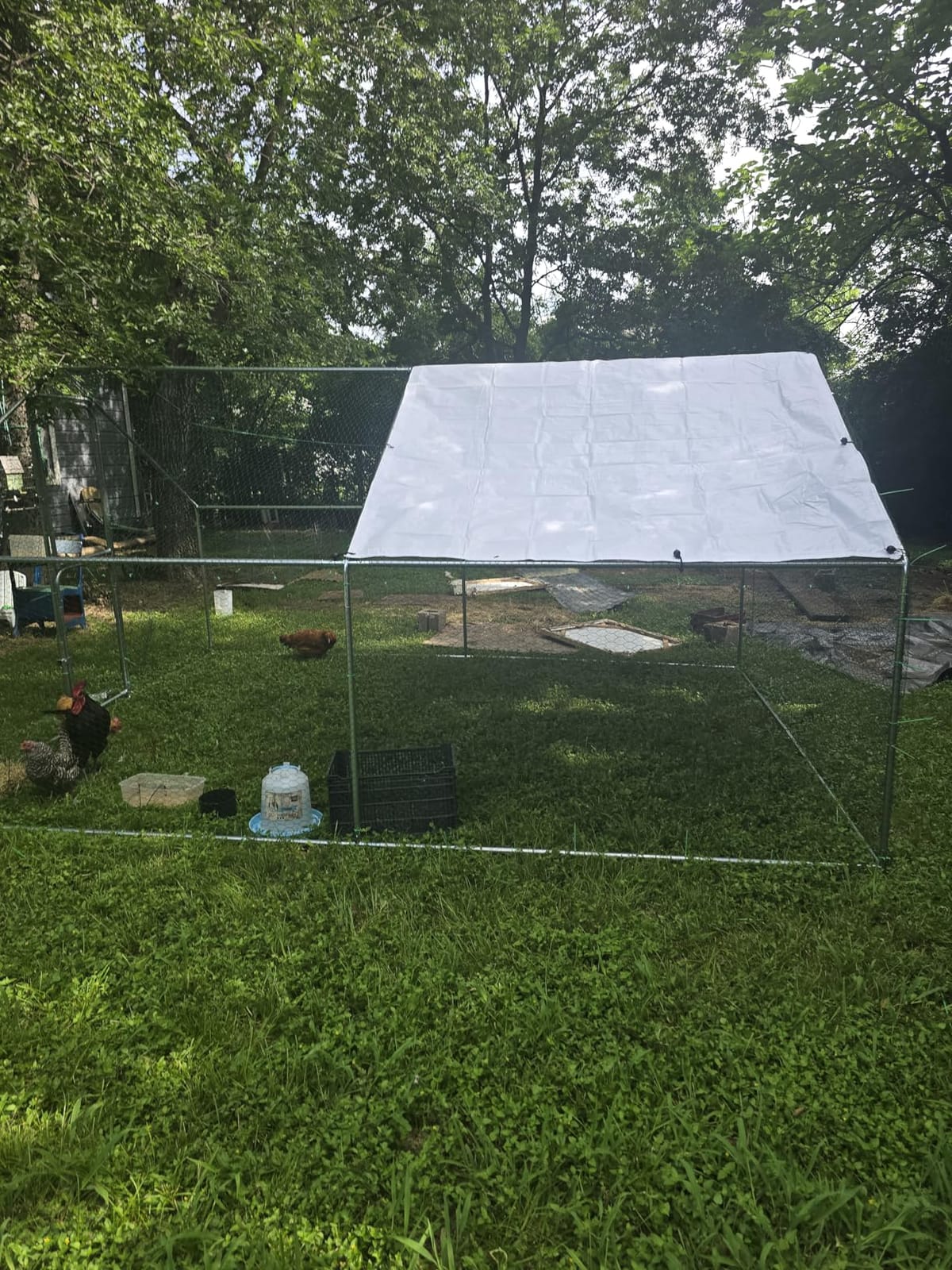 UDPATIO Large Metal Chicken Coop Run House, Walk in Heavy Duty Outdoor Enclosure w/Cover for 30+ Chickens, Ducks, Rabbits - Predator Proof Poultry Pen Habitat Hutch customer photo 2