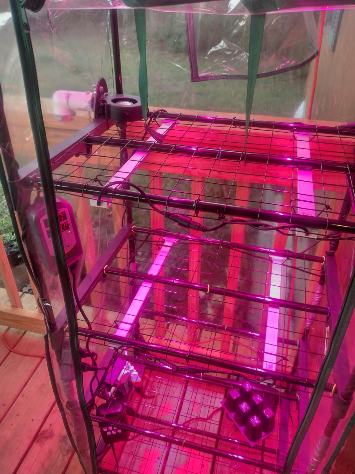 Miracle-Gro Walk-in Greenhouse, Removable Shelves, Clear, 4'8
