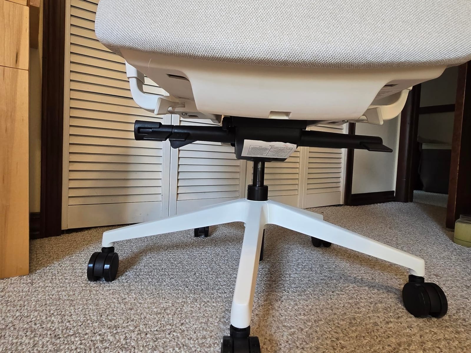 Branch Ergonomic Chair Pro, Mesh Office Chair with 14 Points of Adjustment | Height, Depth and Tilt Adjustable, 5D Armrests, Forward Tilt, Smooth Recline, and Lumbar Support, Mineral customer photo 2