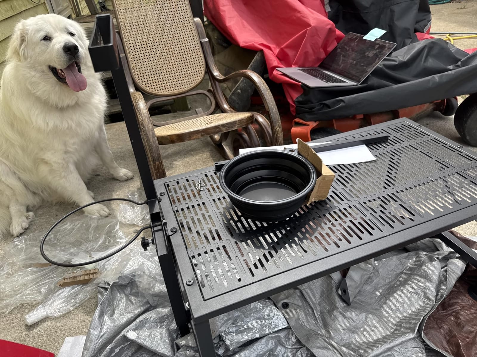 Upgrade Goat Milk Stand with Feed Bin, 400lbs Goat Stand for Grooming & Hoof Trimming, 1mm Thick Platform & Anti-Slip Design, for Pygmy and Dwarf Goats, Firm Head Lock and Adjustable Head customer photo 2