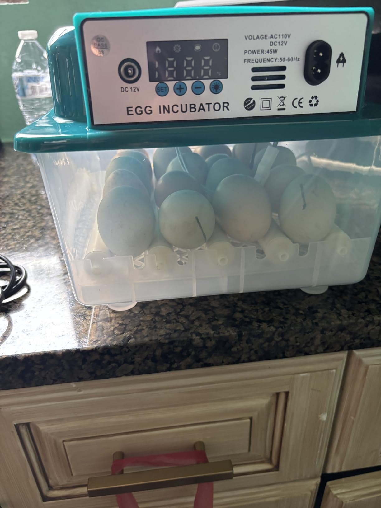 CoInceptus 36 Eggs Incubators for Hatching Eggs,Egg Incubator with 4 Automatic Incubate Mode,Chicken Incubator with Automatic Egg Turning Humidity Display,Quail Egg Incubator with Egg Candle customer photo 1