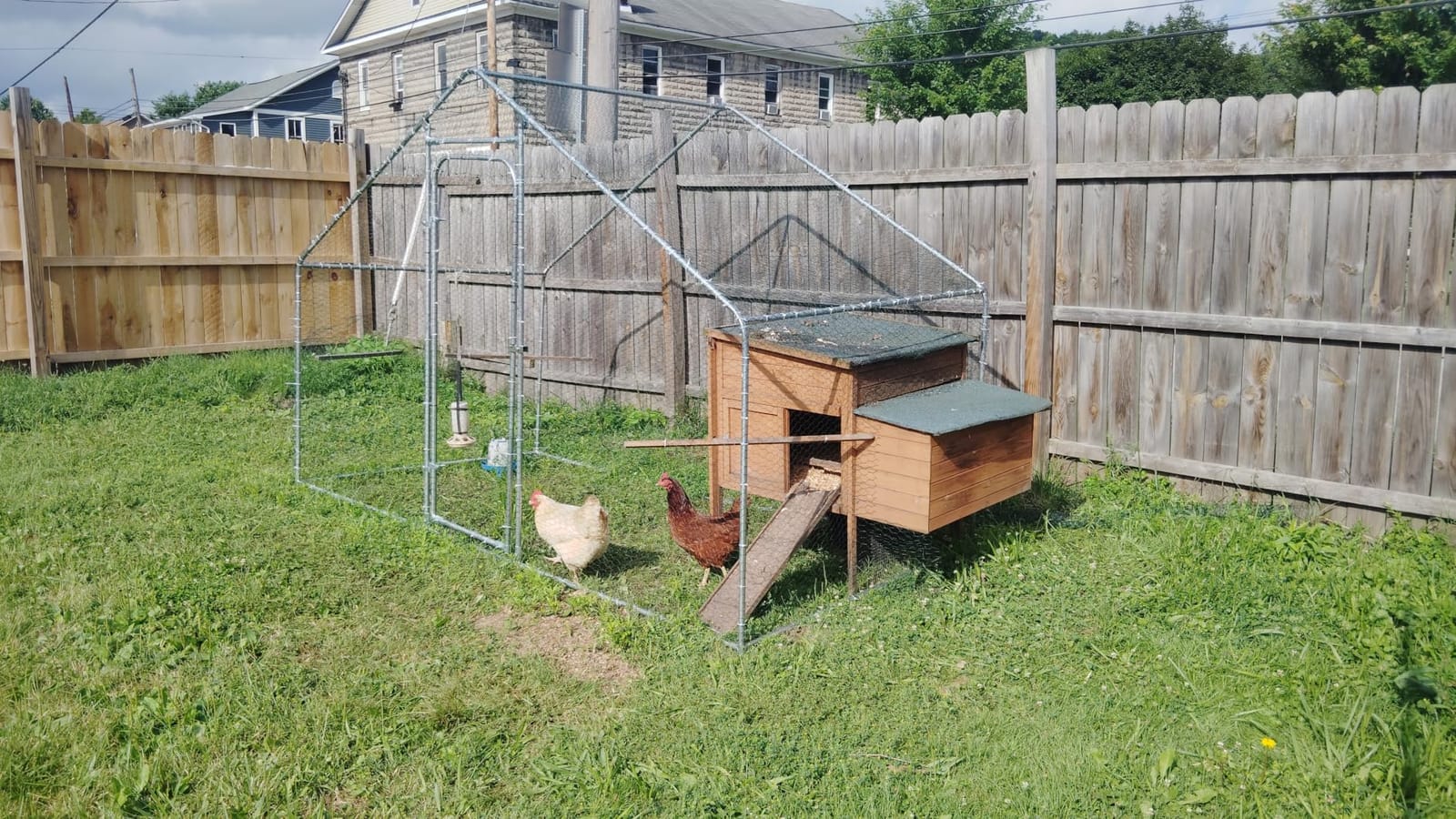 Small Metal Chicken Coop Run Walk-in 4.9'x9.8'x6.4' Duck House customer photo 1