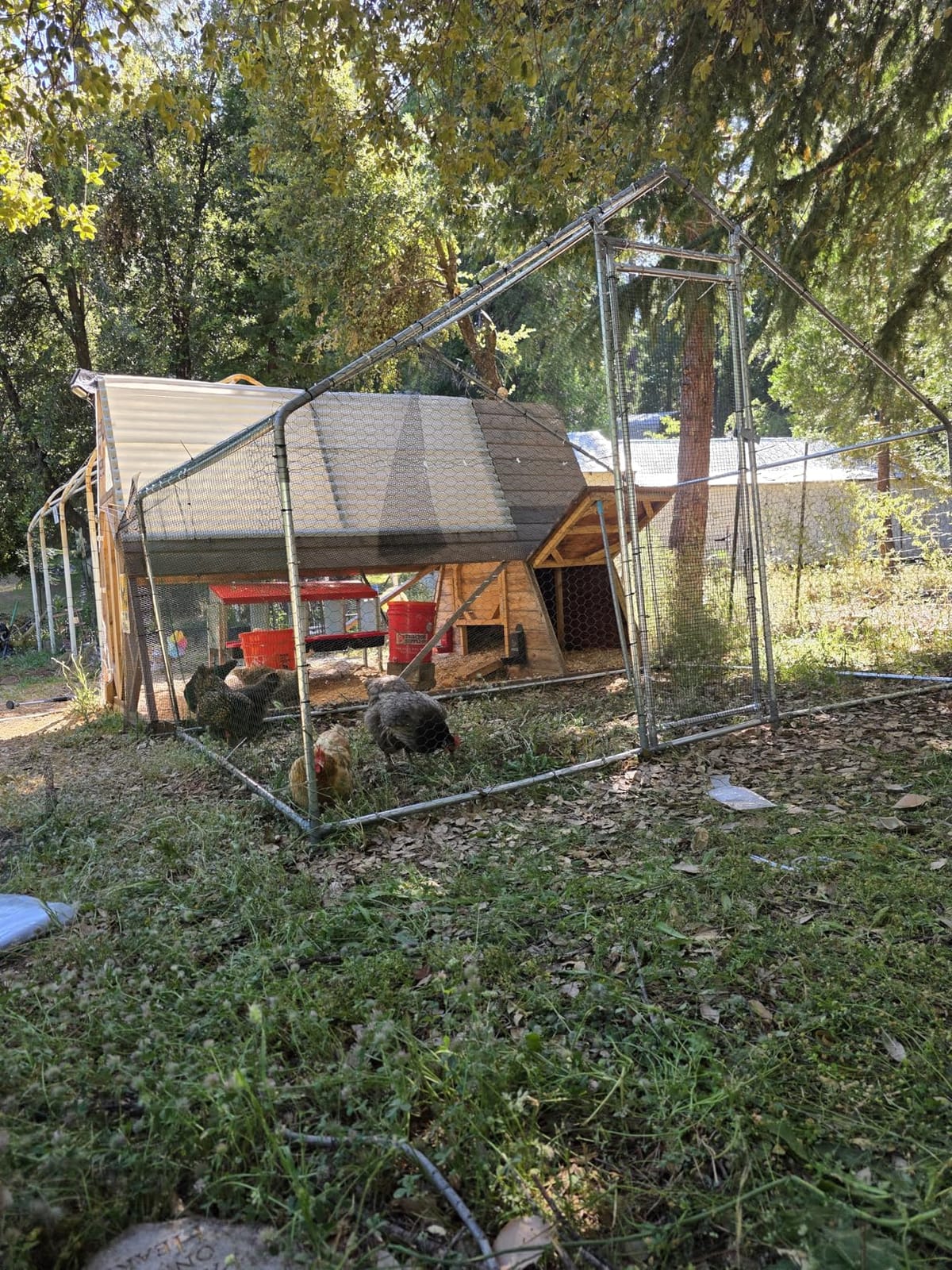 VEVOR Large Metal Chicken Coop,9.8 x 9.8 x 6.6 ft, Walk-in Chicken Run House with Waterproof Cover & Sturdy Frame, Spire Roof Poultry Cage Duck Pen for Rabbit Hen Goose Outdoor Backyard Farm Use customer photo 1