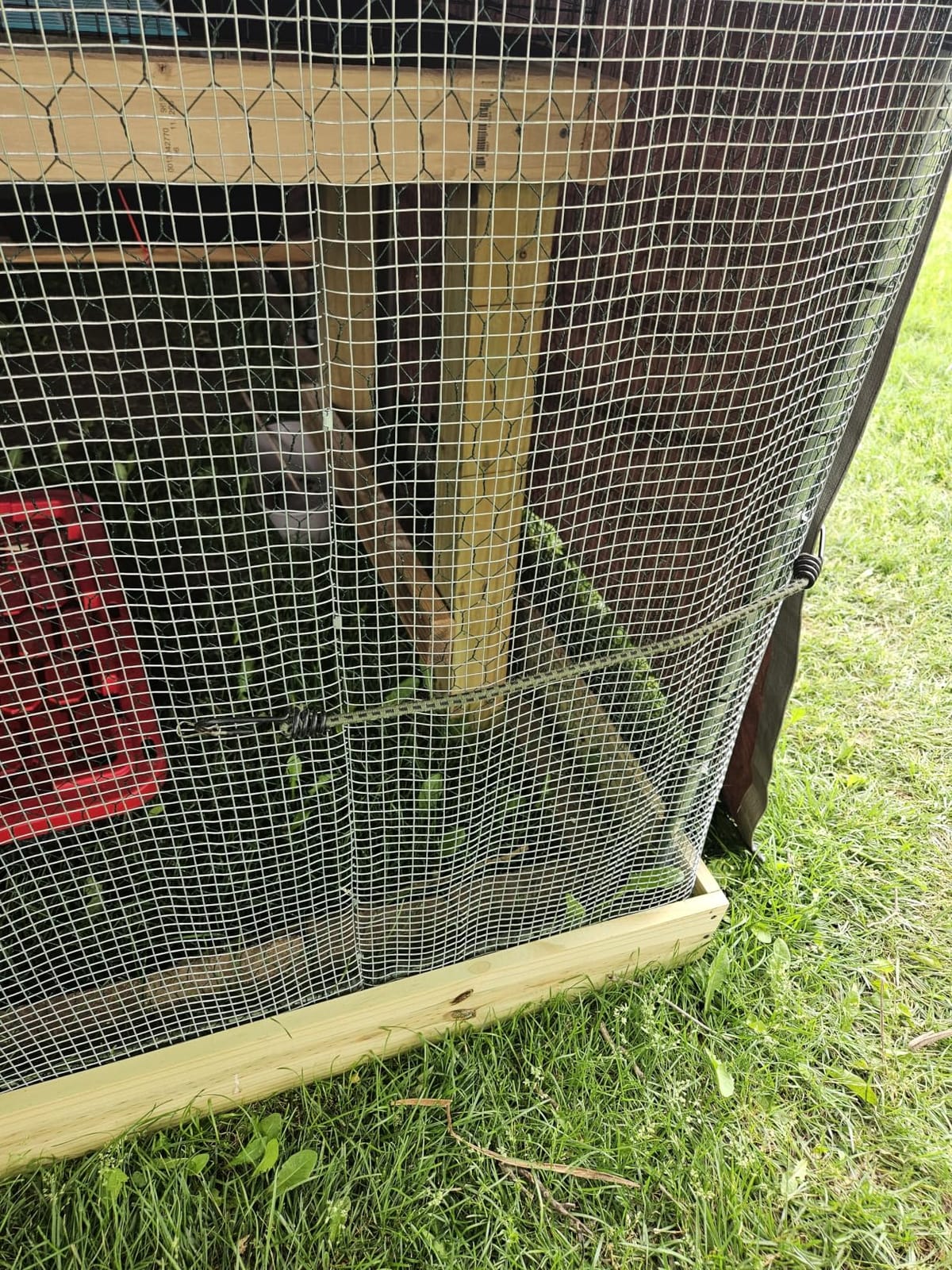 VEVOR Large Metal Chicken Coop,9.8 x 9.8 x 6.6 ft, Walk-in Chicken Run House with Waterproof Cover & Sturdy Frame, Spire Roof Poultry Cage Duck Pen for Rabbit Hen Goose Outdoor Backyard Farm Use customer photo 2