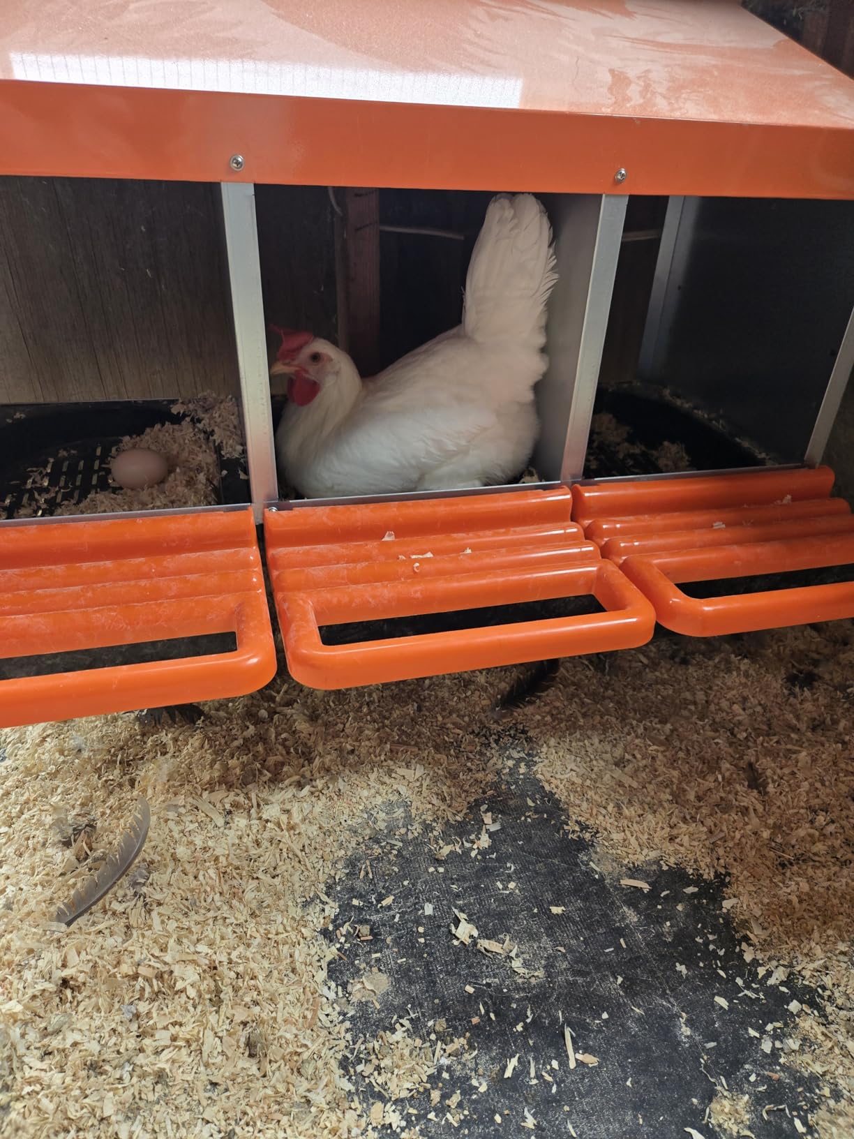 ZenxyHoC Two-Tier Chicken Nesting Box Red 6 Compartments customer photo 2