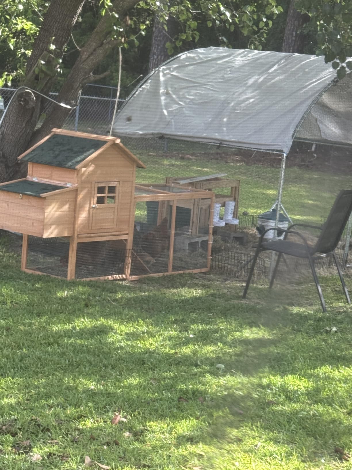 Outdoor Mobile Chicken Coop with Wheels and Sun Board for 4 Chickens customer photo 1