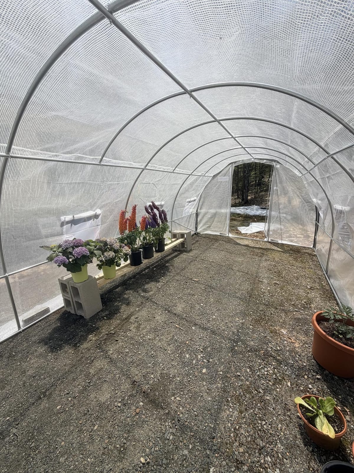 Quictent 25x10x6.6FT Tunnel Greenhouse for Outdoors with 2 Hinged Doors customer photo 2