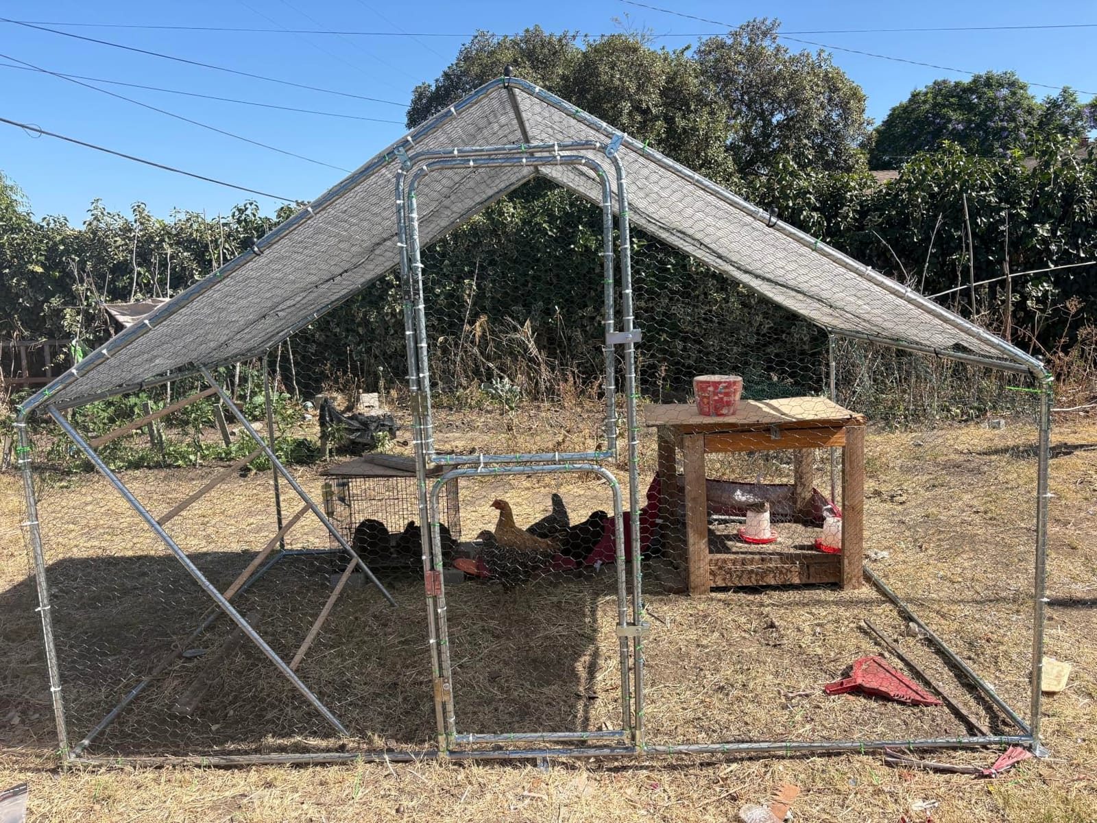 UDPATIO Large Metal Chicken Coop Walk in– Heavy Duty Outdoor Poultry Run with Protective Cover for 15-25 Chickens, Ducks, or Rabbits | Predator-Proof & Weather-Resistant customer photo 2