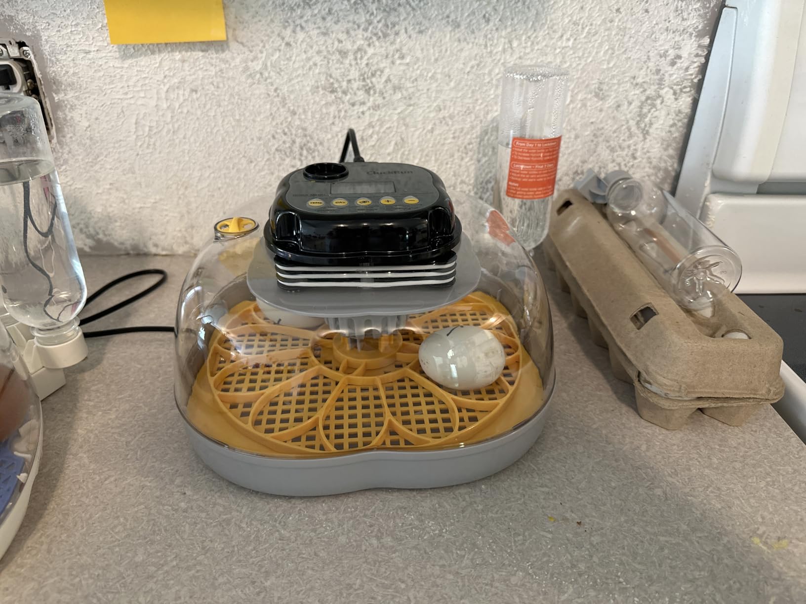Egg Incubators for Hatching Eggs, 12 Chicken or 30 Quail Eggs Incubator customer photo 2