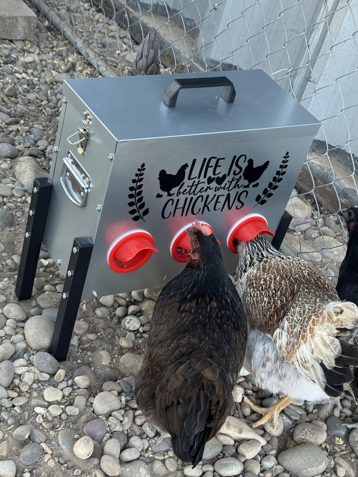 TGEYD 30 lb Metal Chicken Feeder, No-Waste Galvanized Feeder with 6 Feeding Ports, Adjustable Legs, Feed Level Window & Rainproof Roof Lid for Chickens, Ducks & Geese customer photo 1