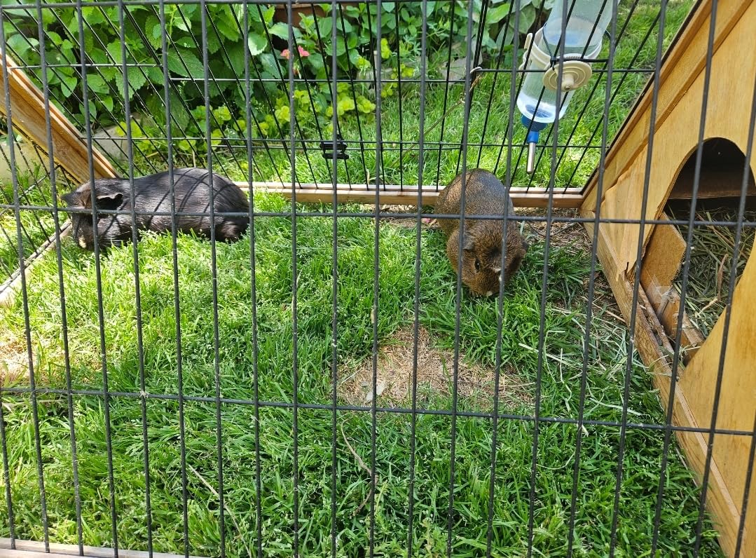 PawHut Rabbit Hutch Outdoor Small Animal Cage 45