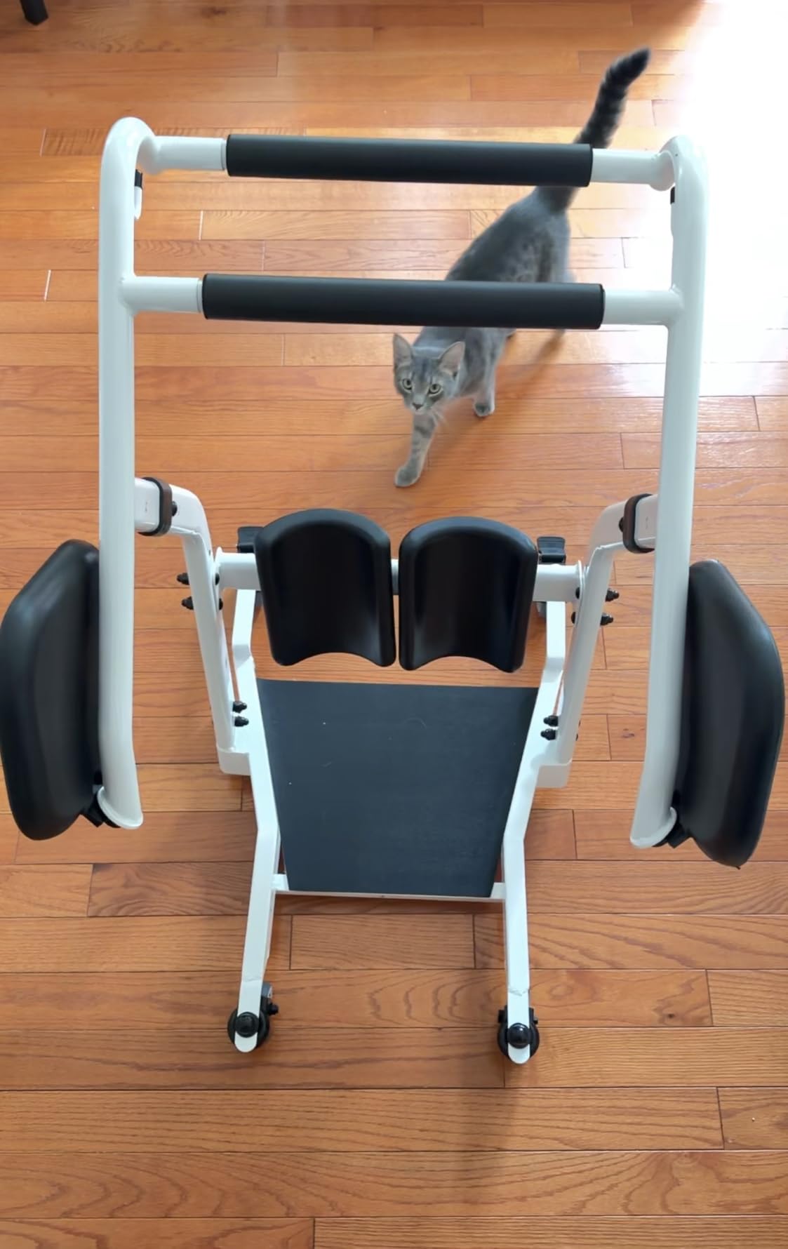 VOCIC Sit to Stand Lift, Patient Lift Chair Transport Unit with Wheels customer photo 2