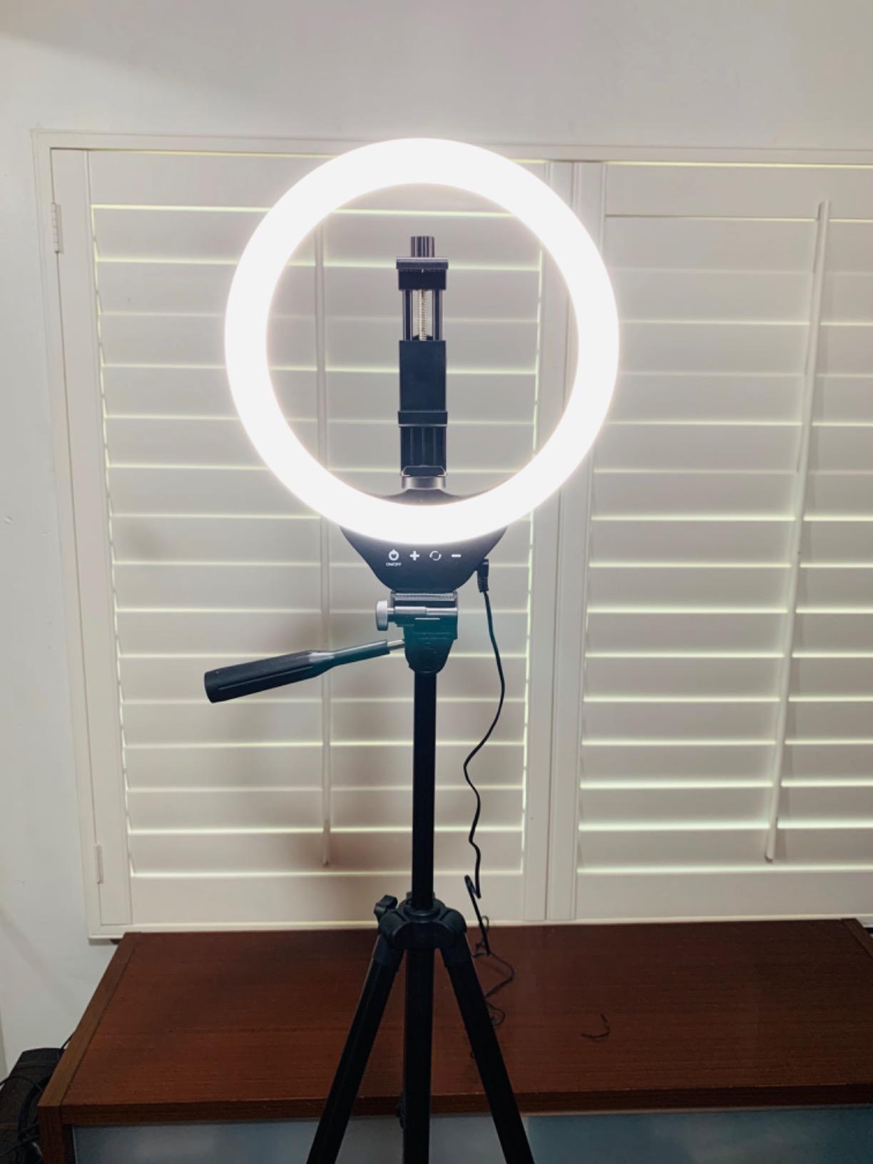 Torjim 12 Inch Video Light Kit for Creators | 30W High Brightness customer photo 1