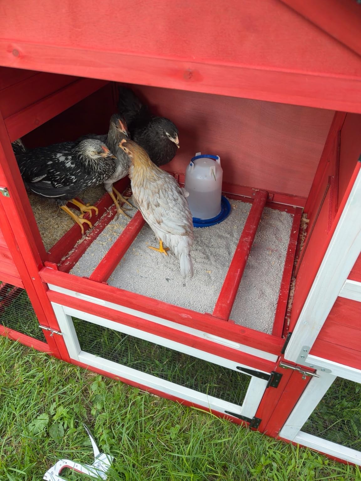 Small Chicken Coop with 2 Nesting Boxes, Waterproof Wooden Hen House for 1-2 Chickens, Poultry Hutch with Wildlife-Proof Latches, Elevated Design & Roosting Bar for Backyard Urban Farm (Grey) customer photo 1
