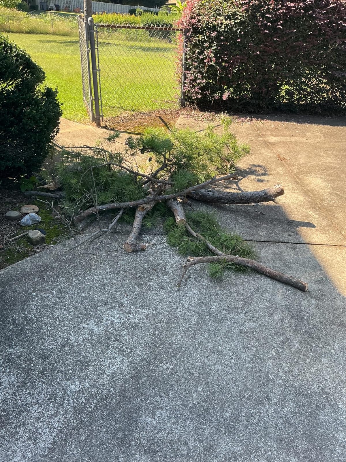 SEESII 2-in-1 Electric Pole Saws for Tree Trimming, Brushless Motor customer photo 2