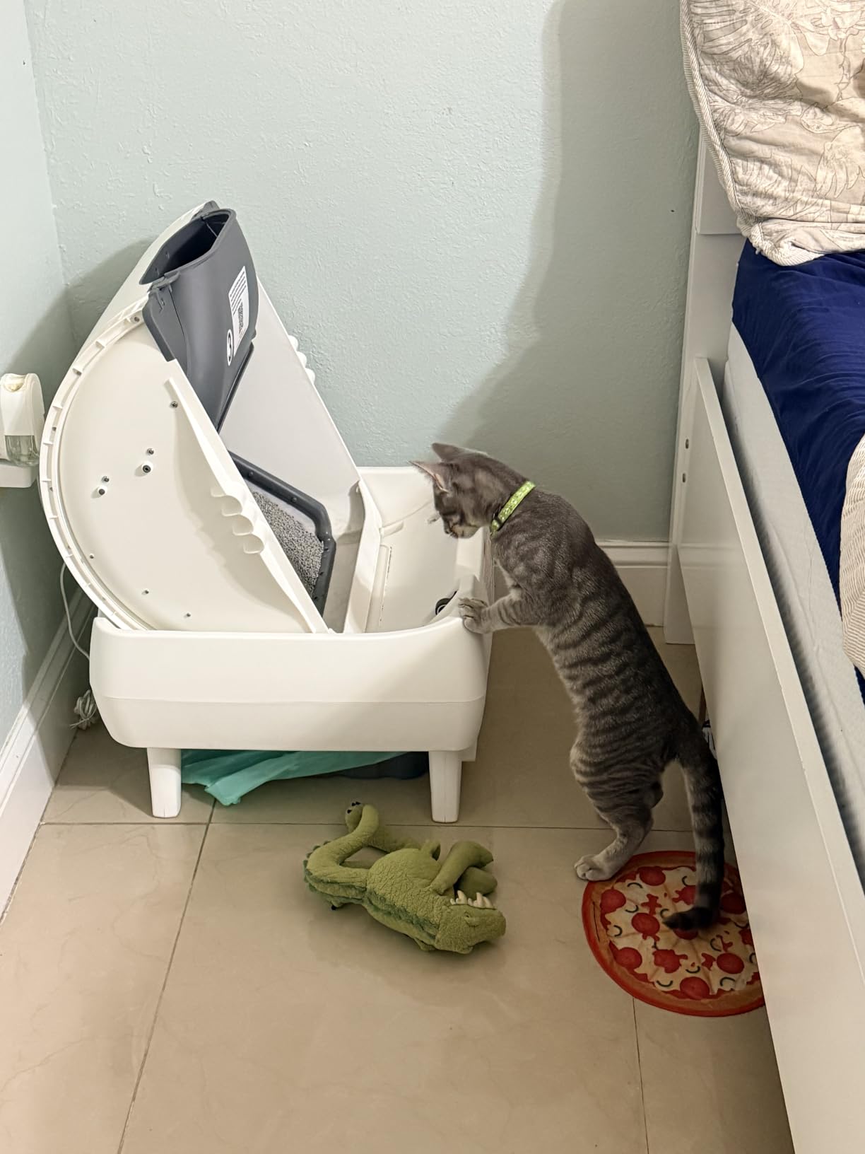 Automatic Cat Litter Box Self Cleaning - App Control, Open-Design, Smart Health Monitor, Suitable for Medium Cats and Kittens, Anti-Pinch Safety, Quiet Operation - White customer photo 1