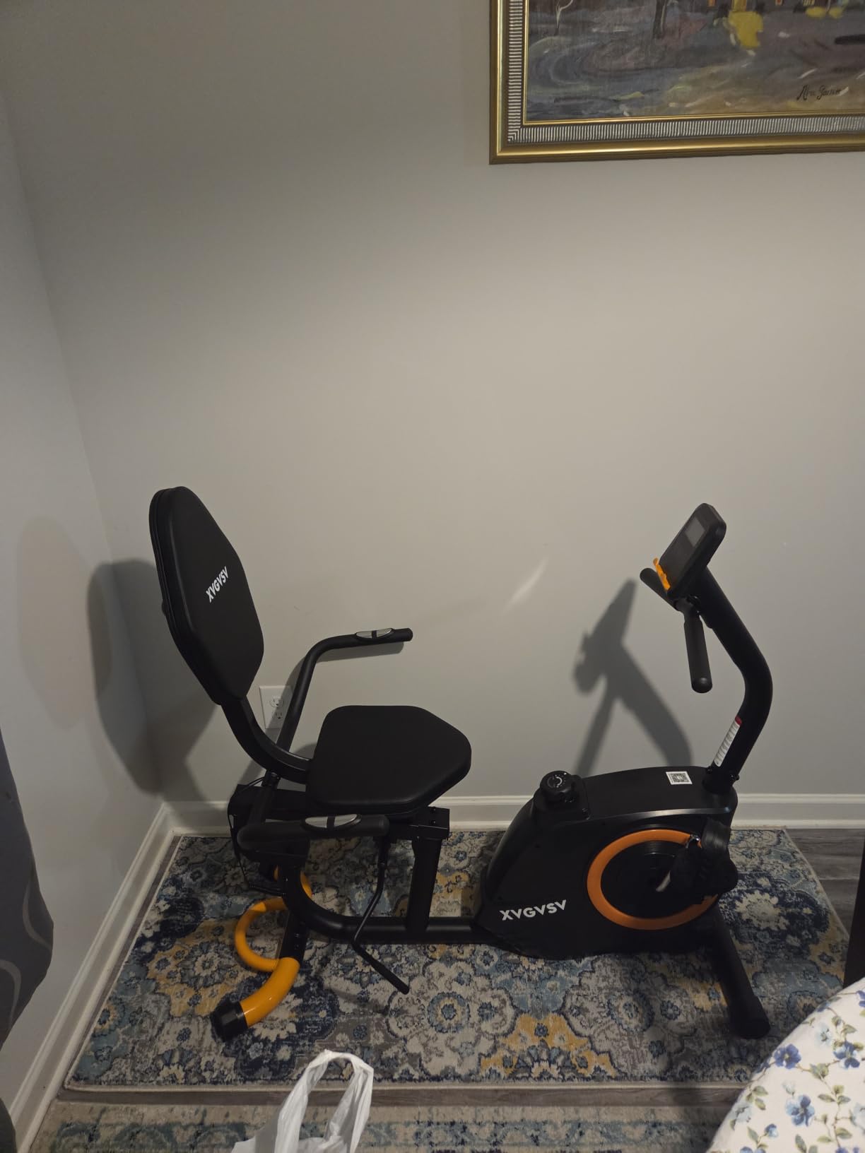 Recumbent Exercise Bike for Home, Recumbent Stationary Bikes for Seniors customer photo 1
