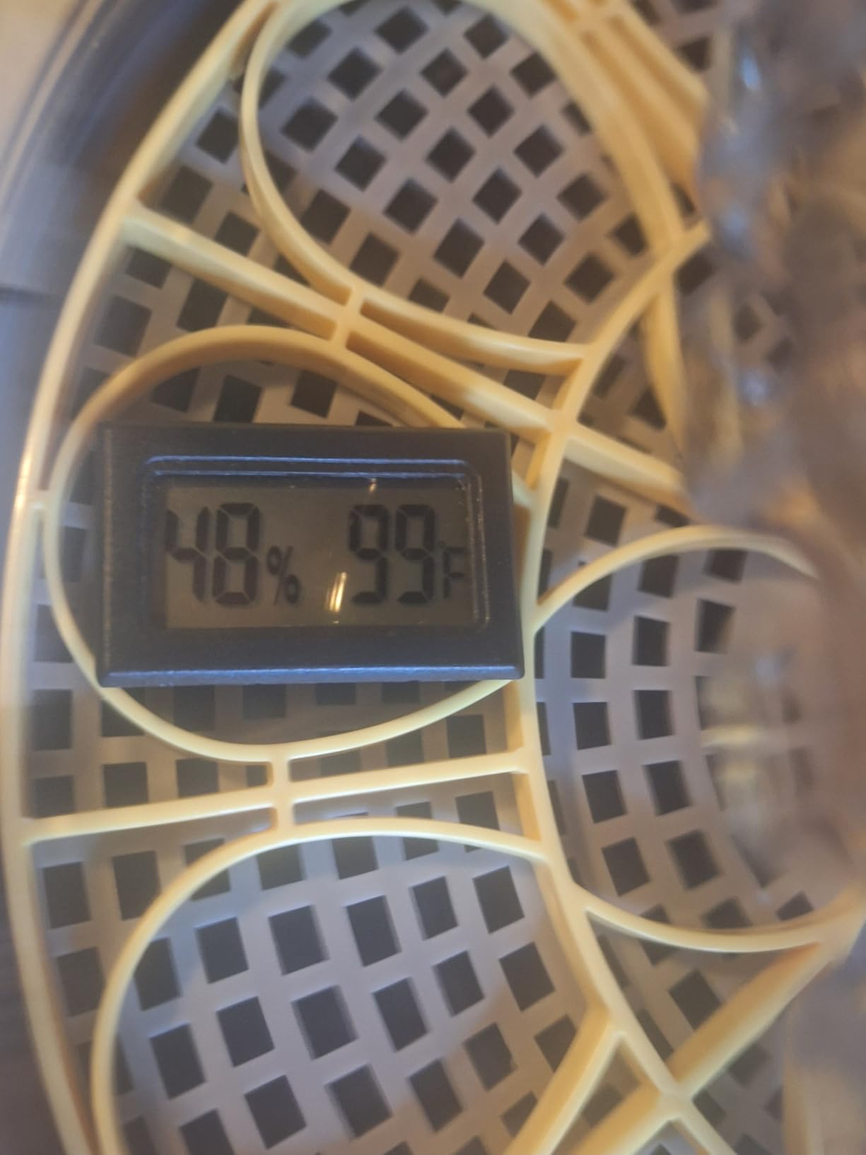 Incubators for Hatching Eggs, 56 Eggs Incubator with Egg Candler, Auto Egg Turner, Temp & Humidity Control, Hatch Day,360° Viewing for Chicken,Duck,Quail Eggs,Ideal for Farm,School and Lab,Blue&Yellow customer photo 1