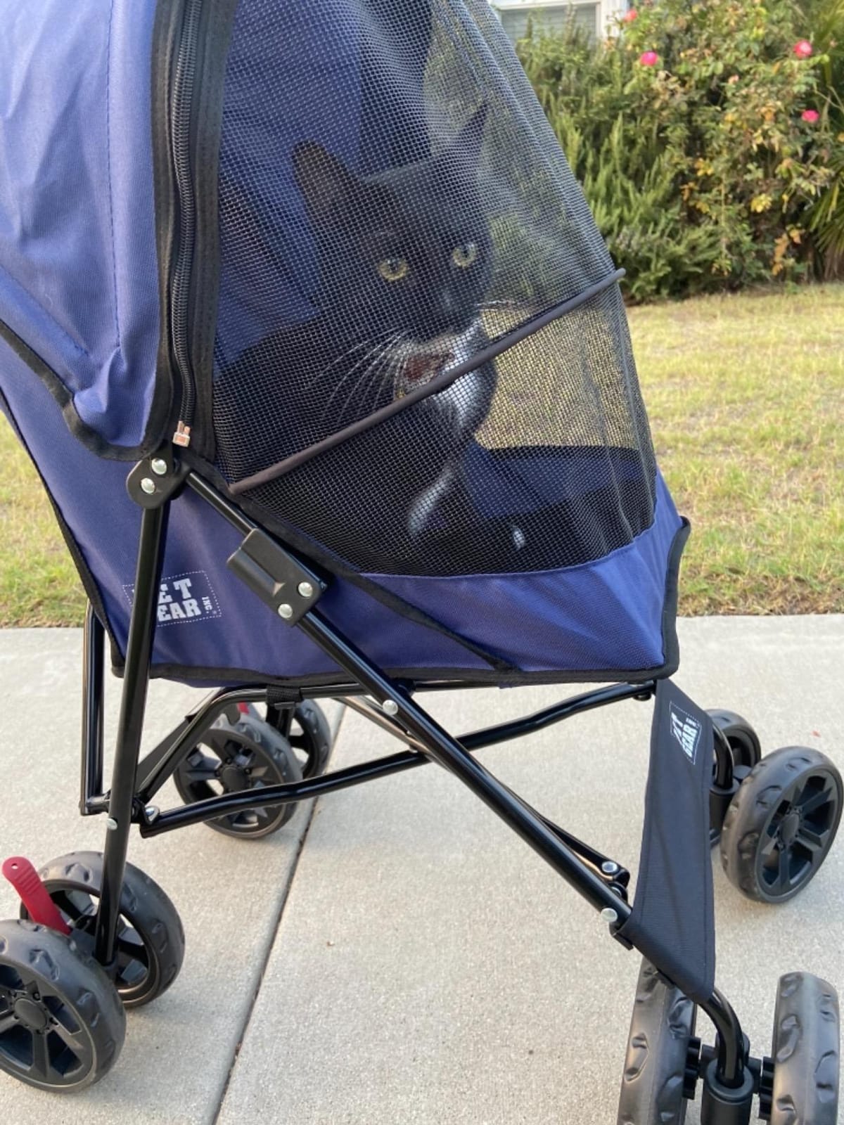 Pet Gear Travel Lite Plus Stroller, Coral customer photo 1