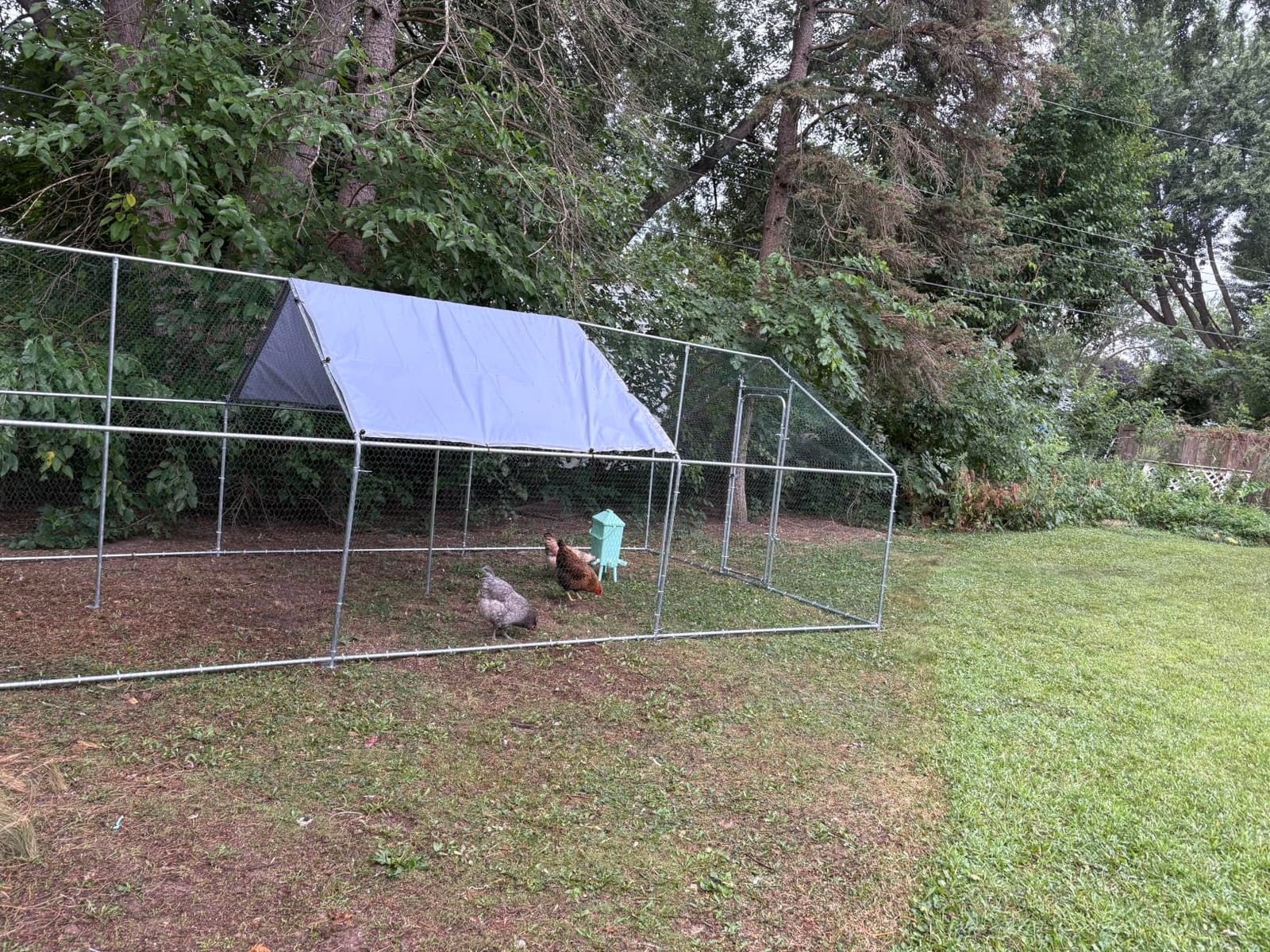 9.9x13.2 FT Metal Chicken Coop, Walk-in Poultry Run Enclosure customer photo 1