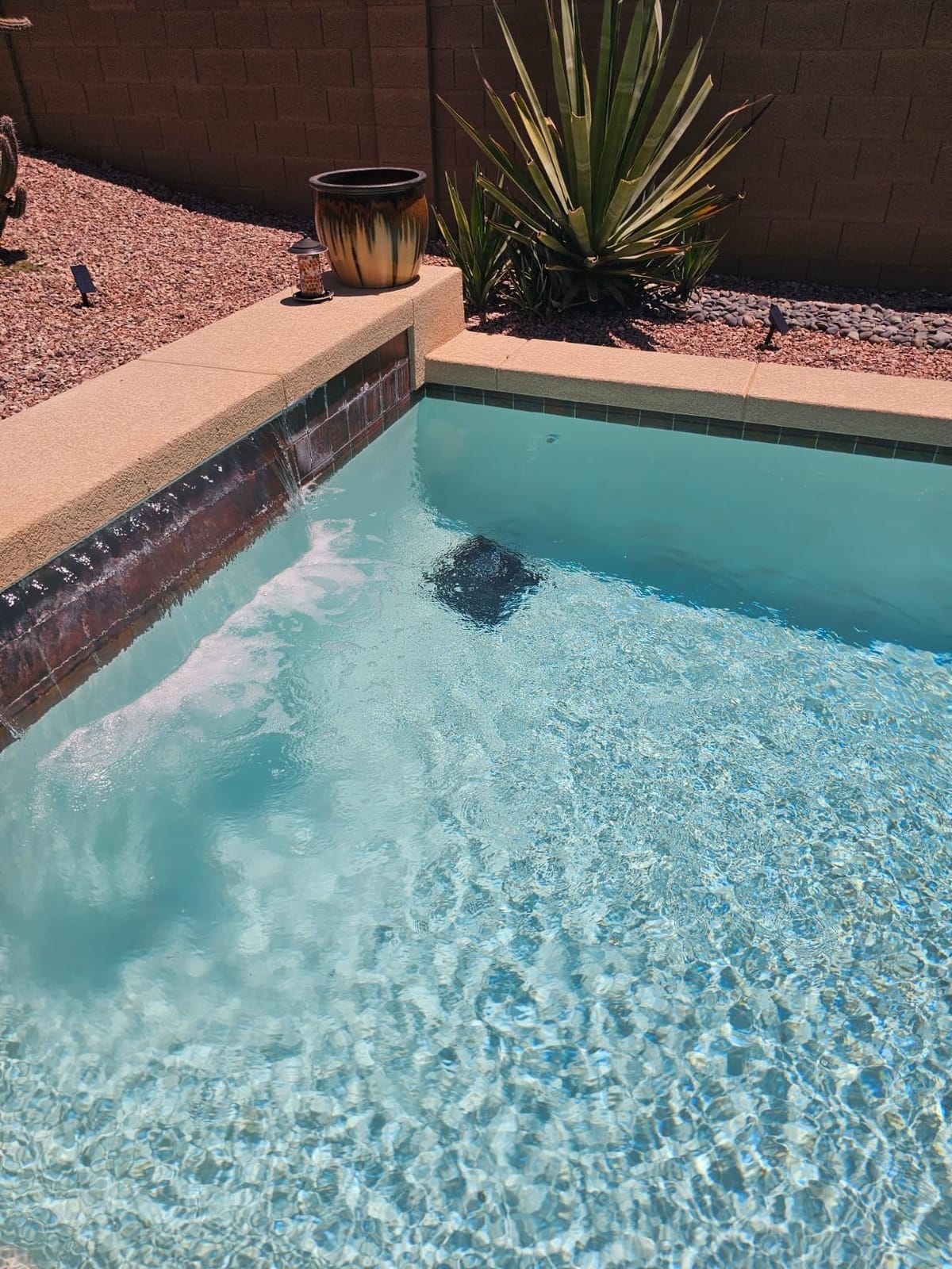 (2026 Upgrade) Beatbot AquaSense 2 Cordless Pool Vacuum Robot - Intelligent Path Optimization, Cleans Floor, Walls & Waterline, for Above & In-Ground Pools up to 3,230 sq.ft, Smart Parking, Dark Blue customer photo 1