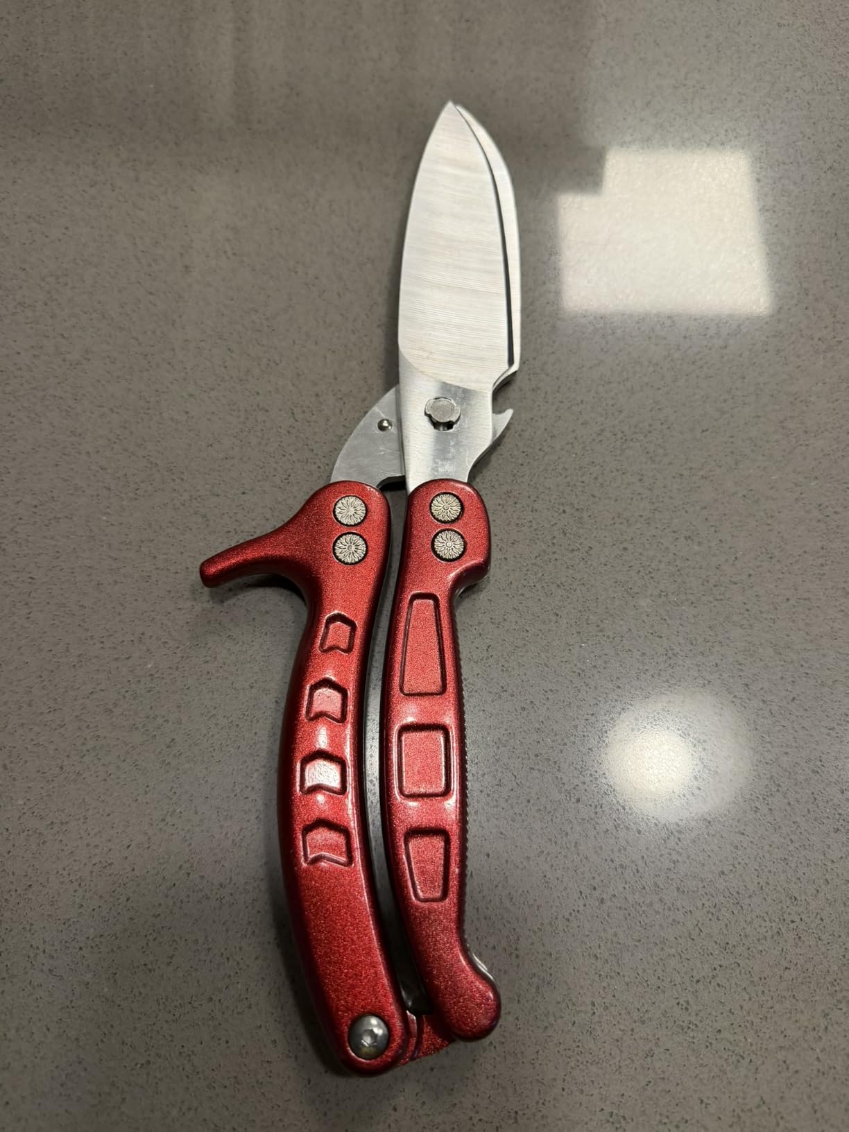 Salad Scissors for Chopped Salad, 8.9