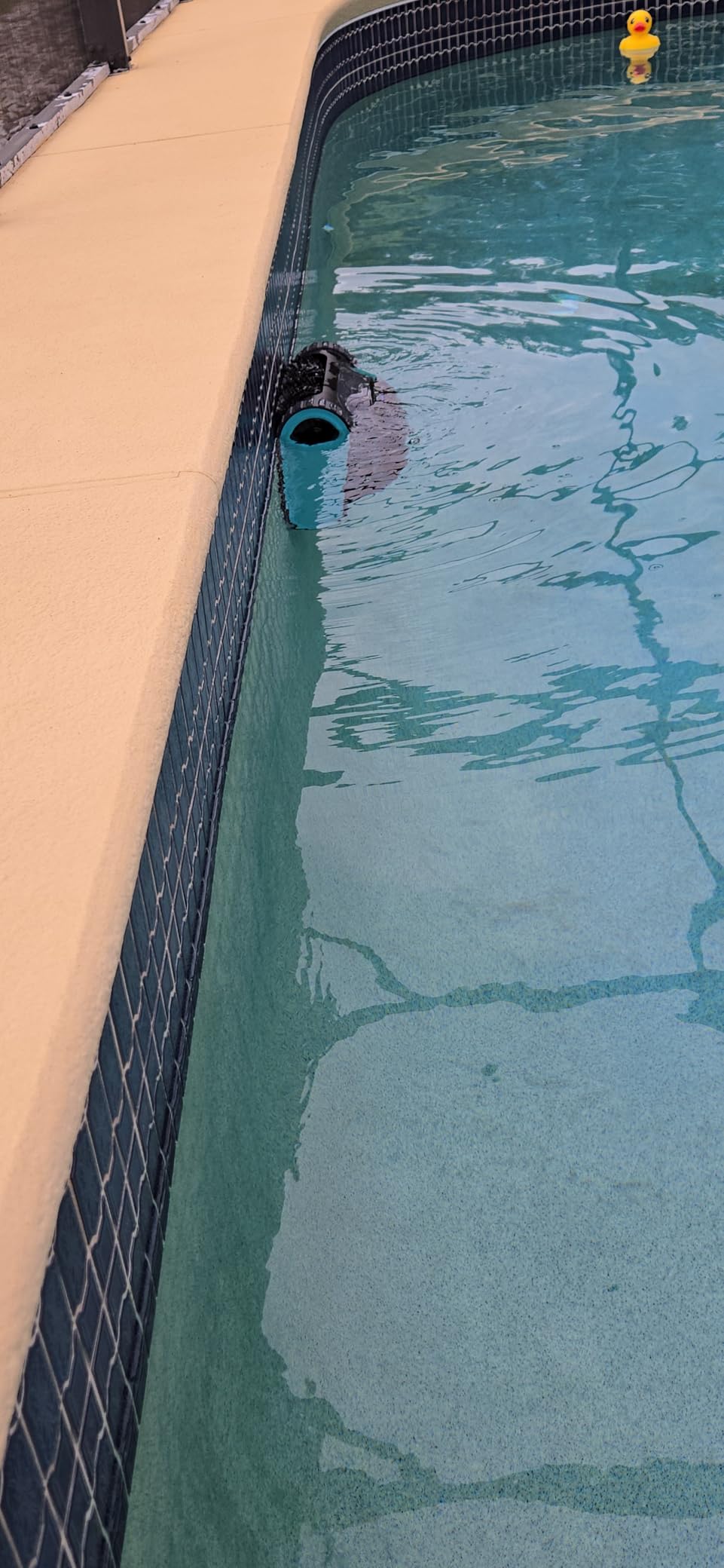 Aiper Scuba S1(2024) - Robotic Pool Cleaner, Powerful Suction, 150-Min Runtime, Wall & Waterline Cleaning, for Inground & Above Ground Pools up to 1600 sq.ft customer photo 1