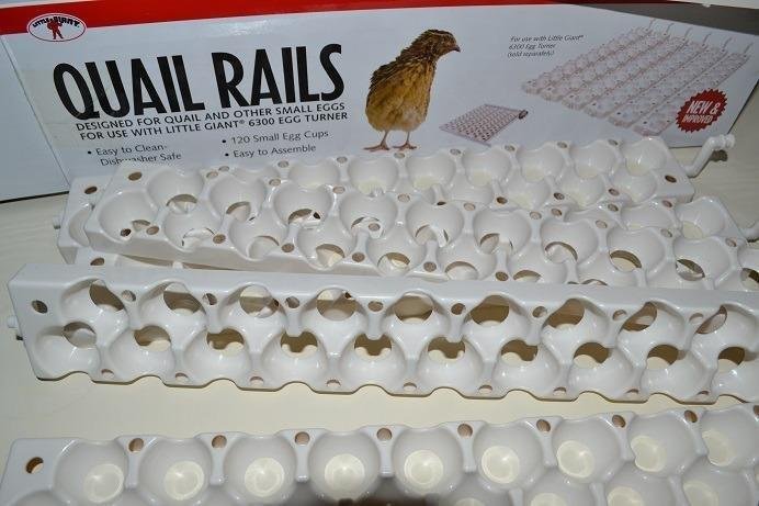 Little Giant® Quail Rails | 120 Eggs | Turner Equipment for Incubating Small Eggs | Quail Egg Incubator customer photo 1