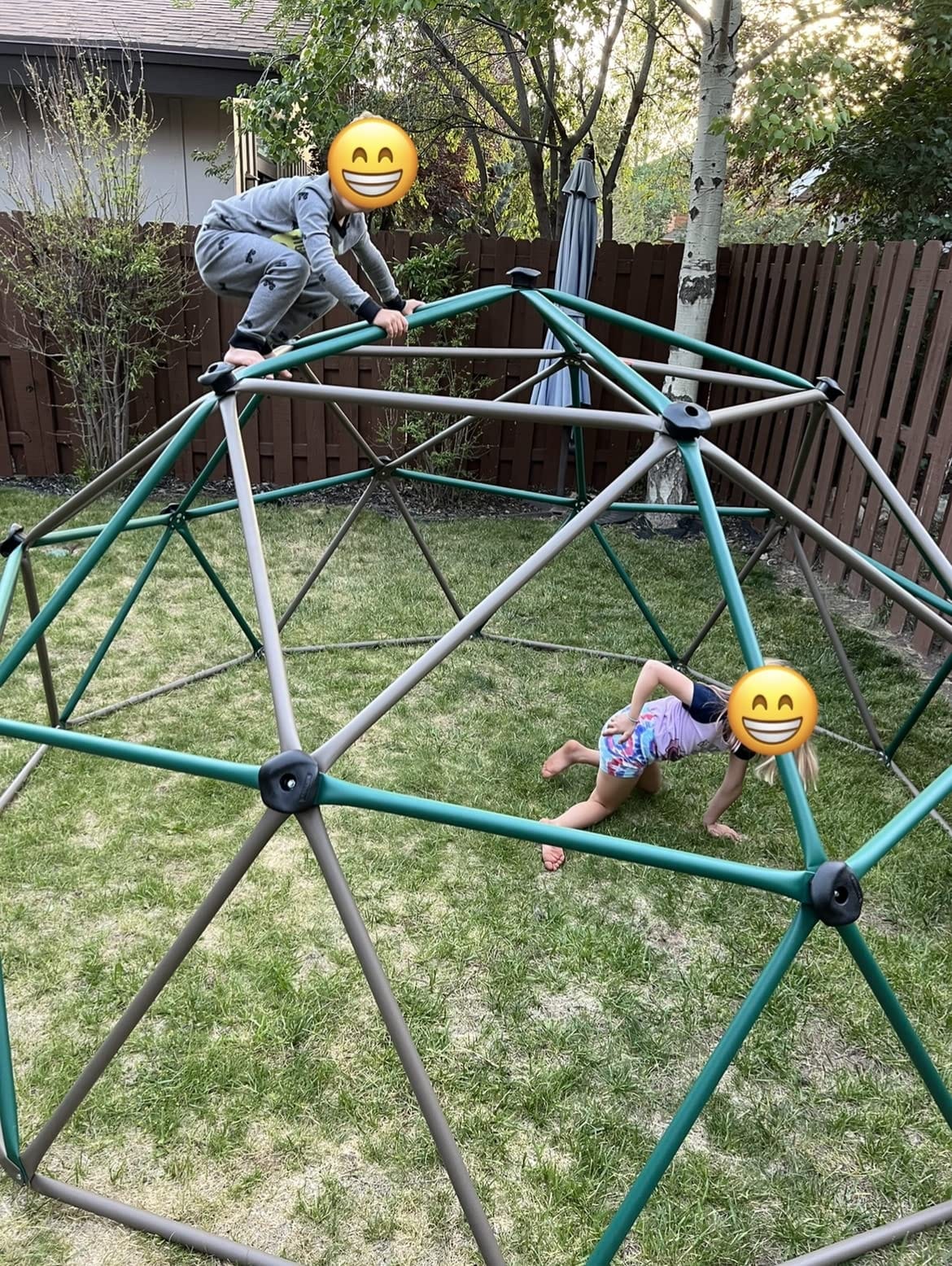 Lifetime Geometric Dome Climber Play Center - Climbing Dome Jungle Gym customer photo 2
