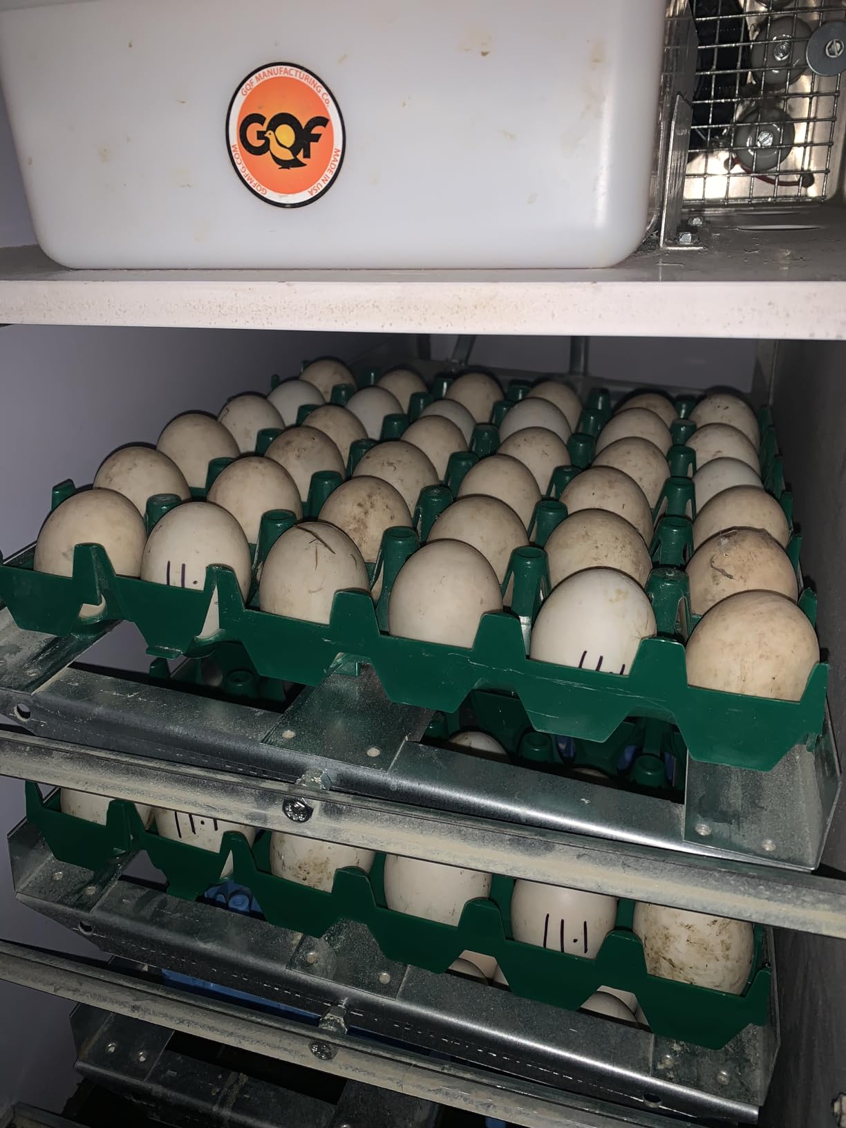 GQF Large Egg Setting Tray customer photo 2