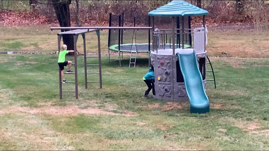 LIFETIME 90630 Products Adventure Tower Deluxe Swing Set, Green customer photo 2