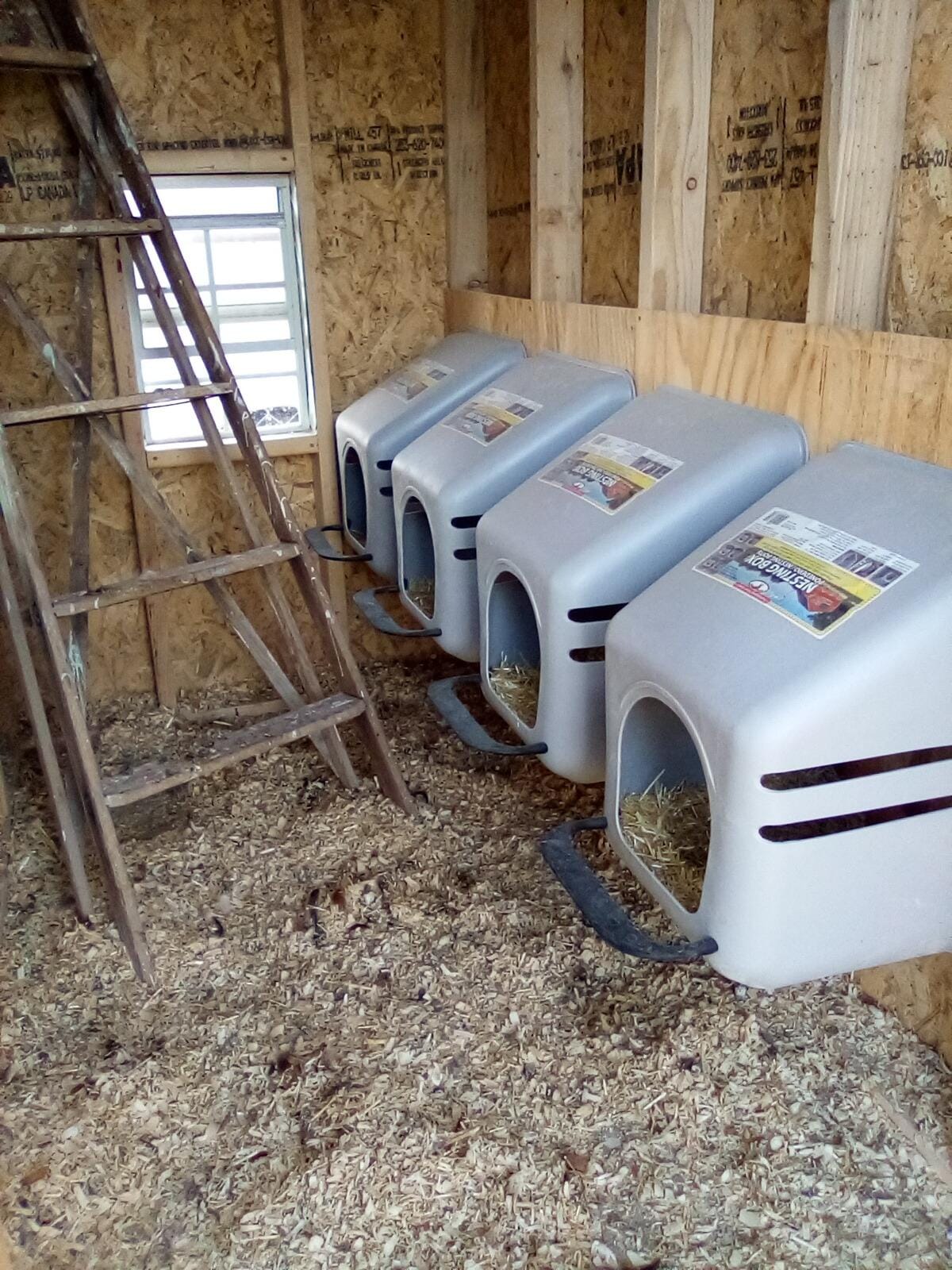 4 PACK of LARGE WALL Mount EGG NESTING NEST BOXES with PERCH for CHICKEN COOP HEN HOUSE POULTRY customer photo 2