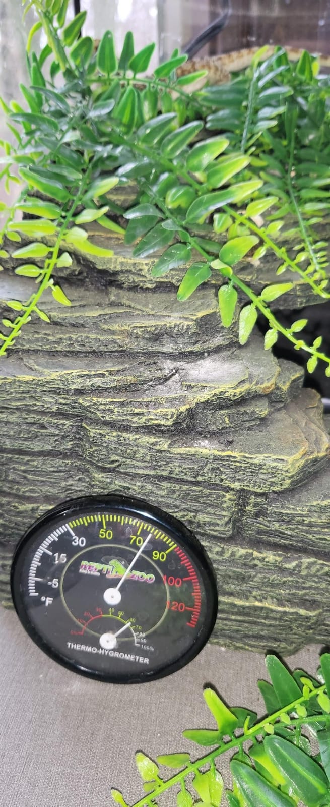 REPTI ZOO Reptile Terrarium Thermometer Hygrometer Dual Gauges Pet Rearing Box Reptile Thermometer and Humidity Gauge customer photo 2